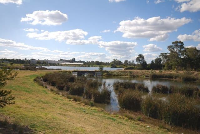 50 Nijong Drive, Pemulwuy NSW 2145, Pemulwuy - Thumbnail 2