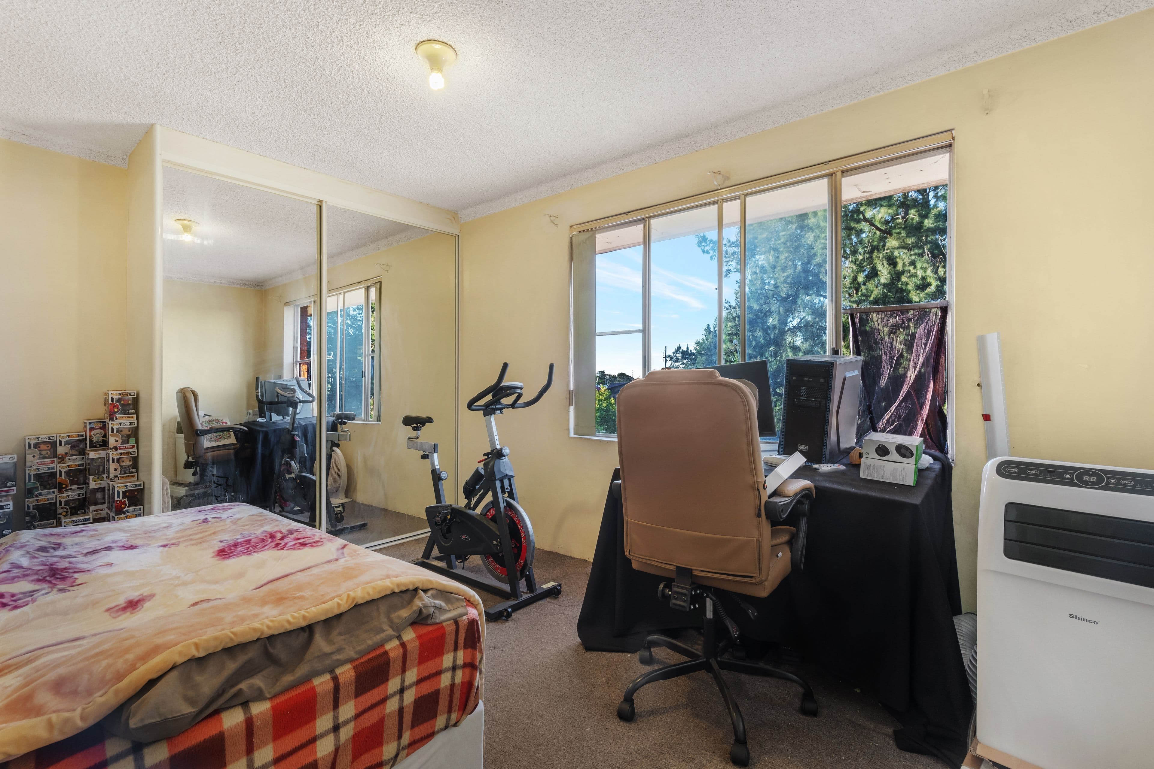 117 Longfield Street, Cabramatta NSW 2166, Cabramatta - Thumbnail 5