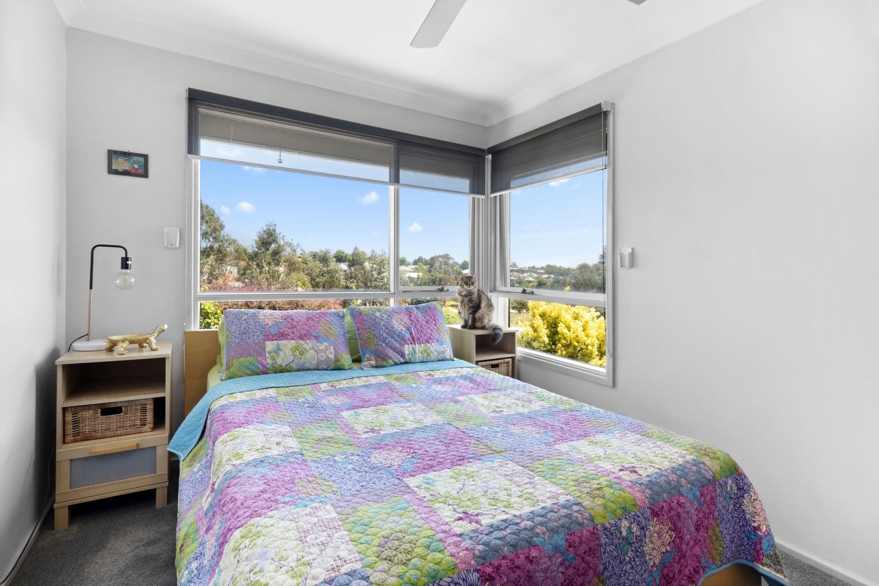 57 Lisgar Street, Goulburn NSW 2580, Goulburn - Thumbnail 7