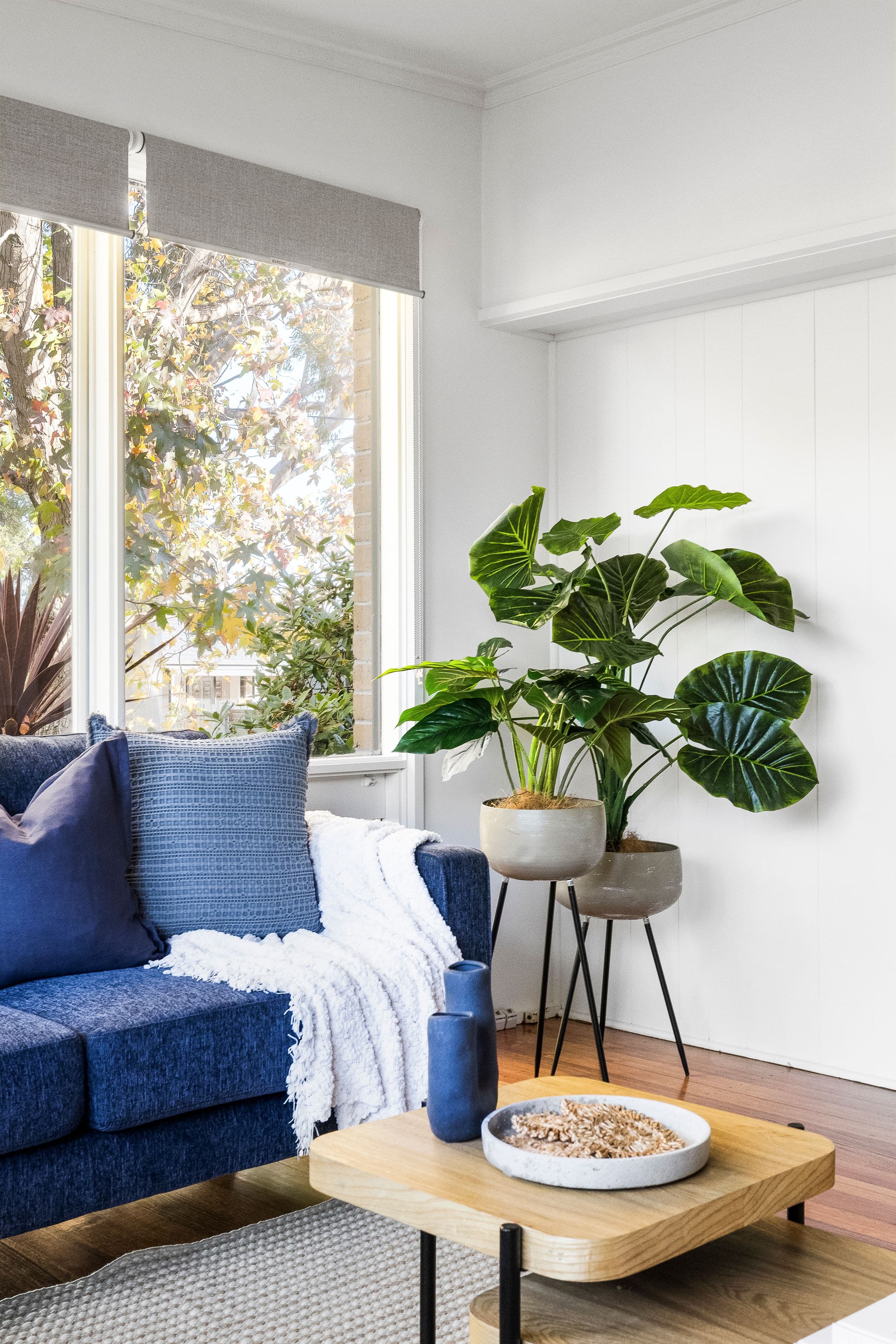 5 Bambra Court, Seaford VIC 3198, Seaford - Thumbnail 4