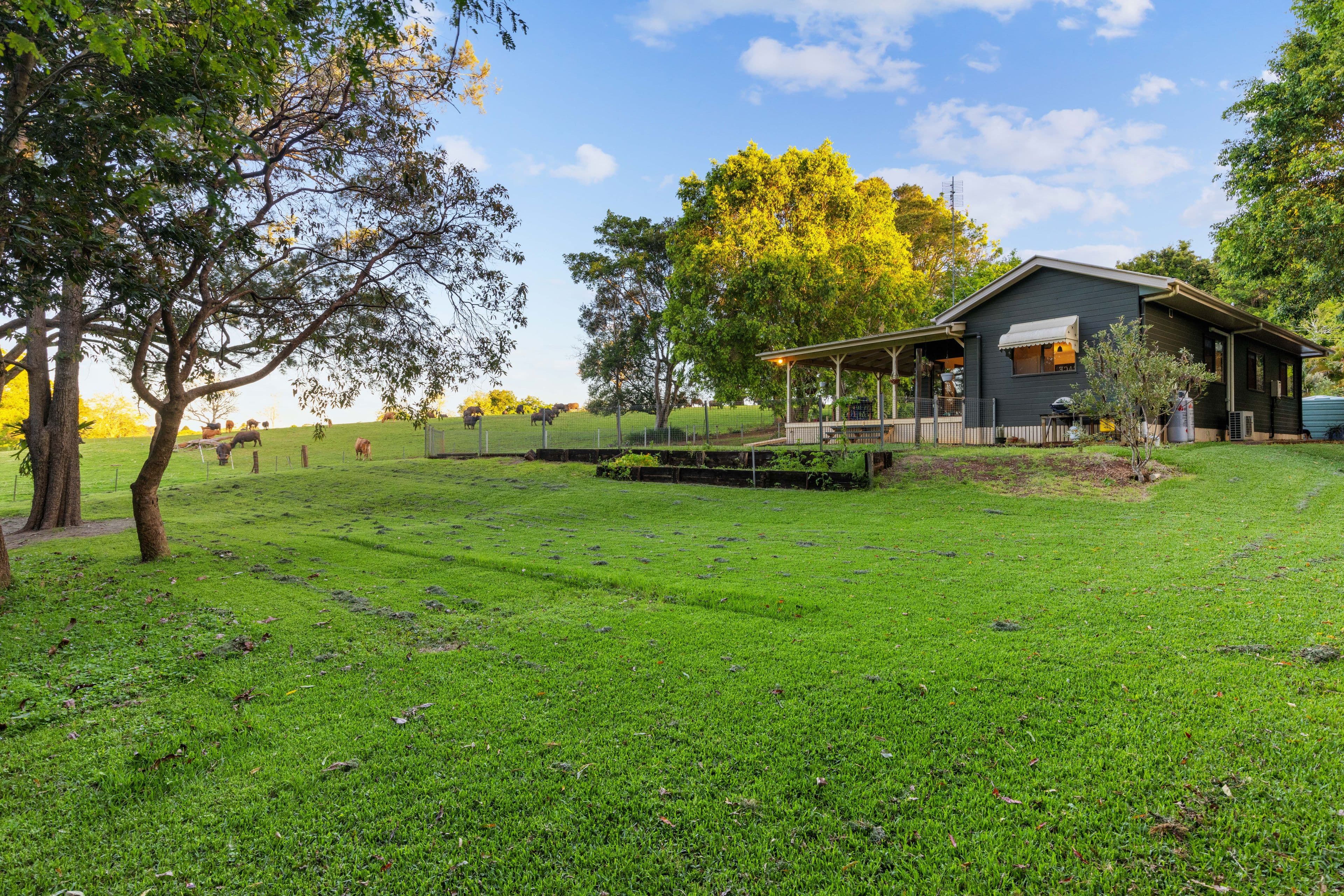 11 Wittaberg Road, Witta QLD 4552, Witta - Thumbnail 3
