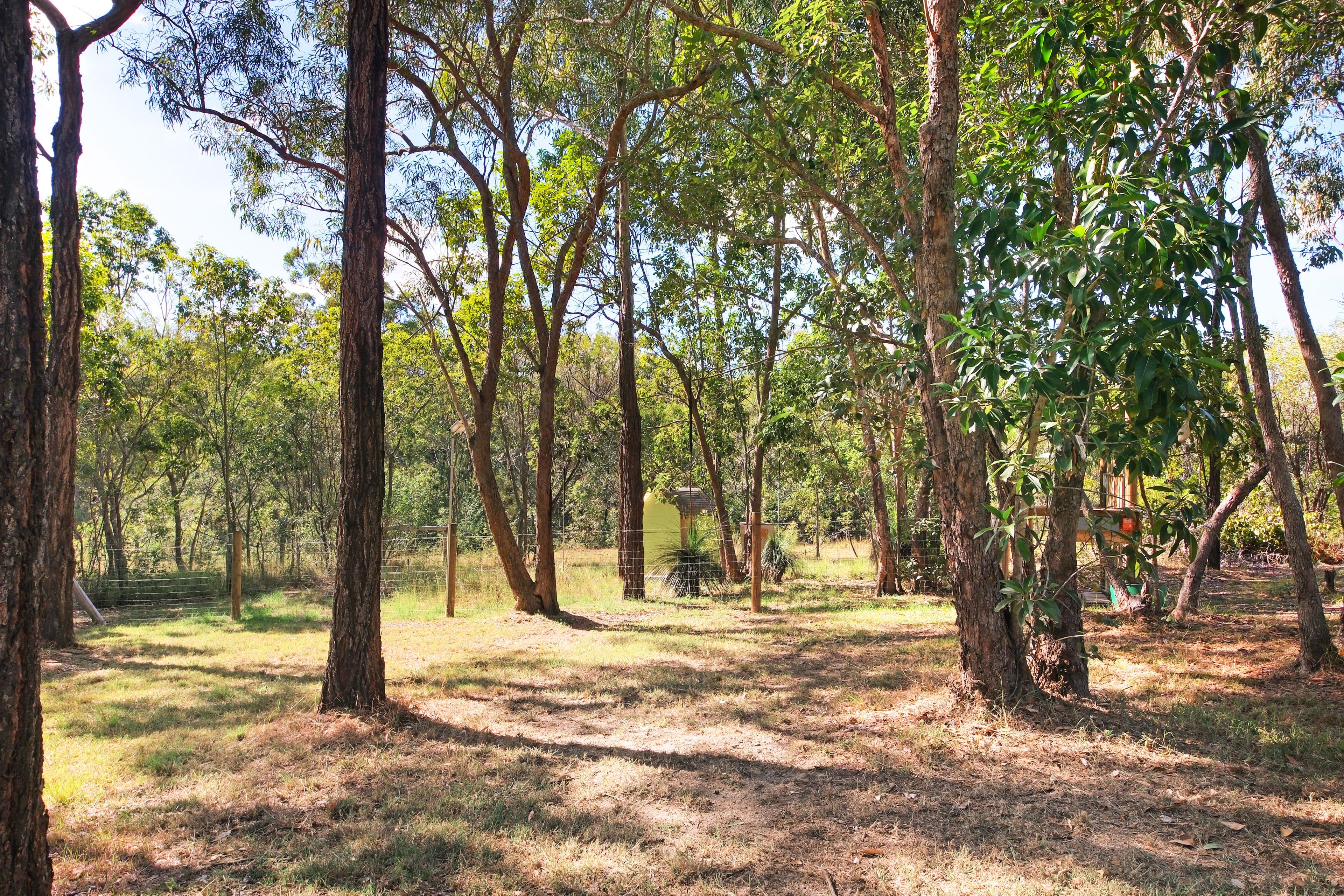 24 Davis Road, Bondoola QLD 4703, Bondoola - Thumbnail 3