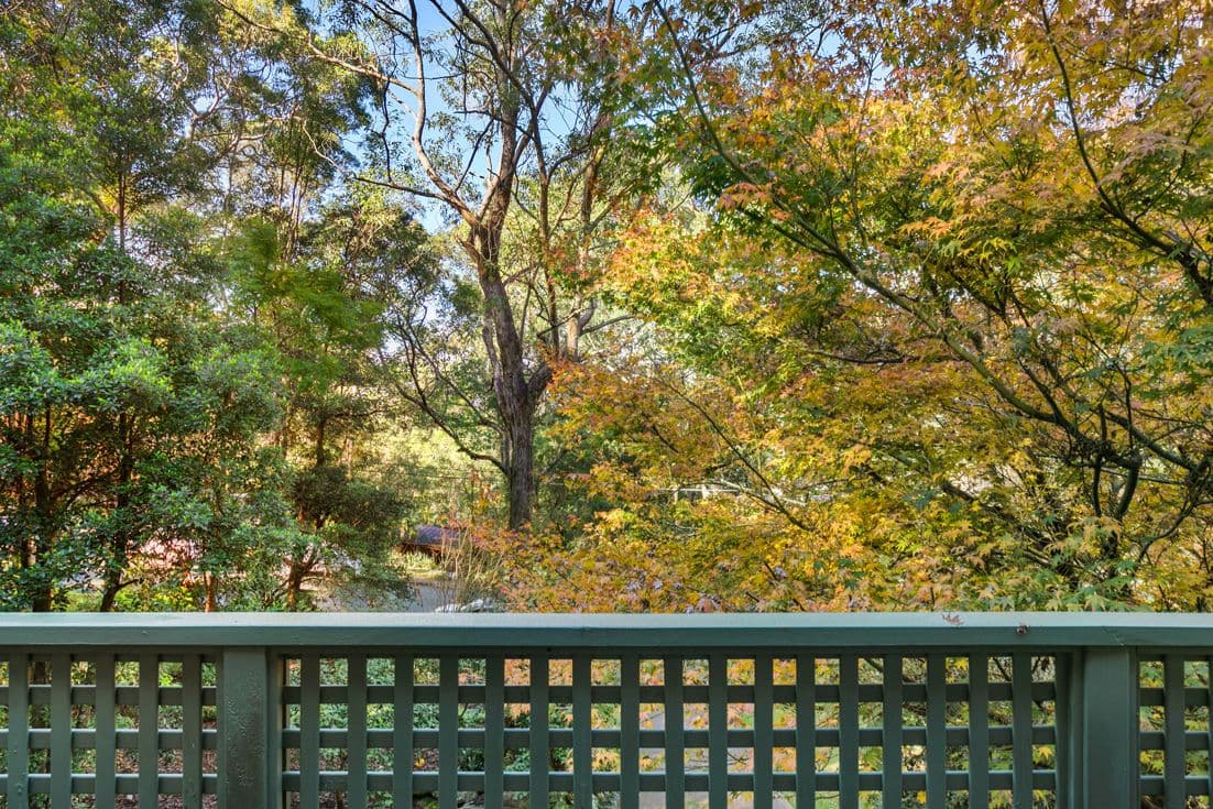 15 Campbell Drive, Wahroonga - Thumbnail 6