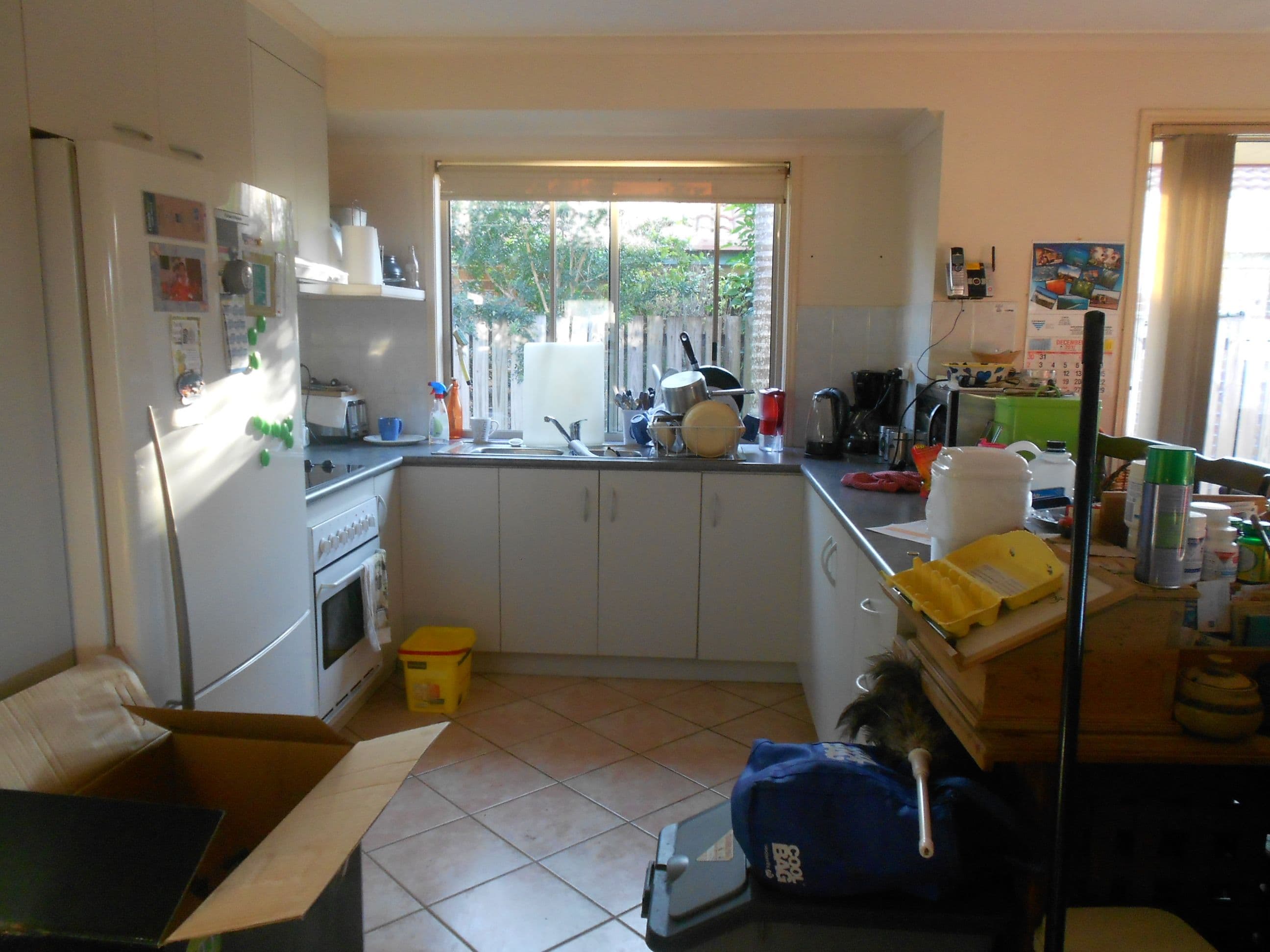 23 Renee Court, Torquay QLD 4655, Torquay - Thumbnail 6
