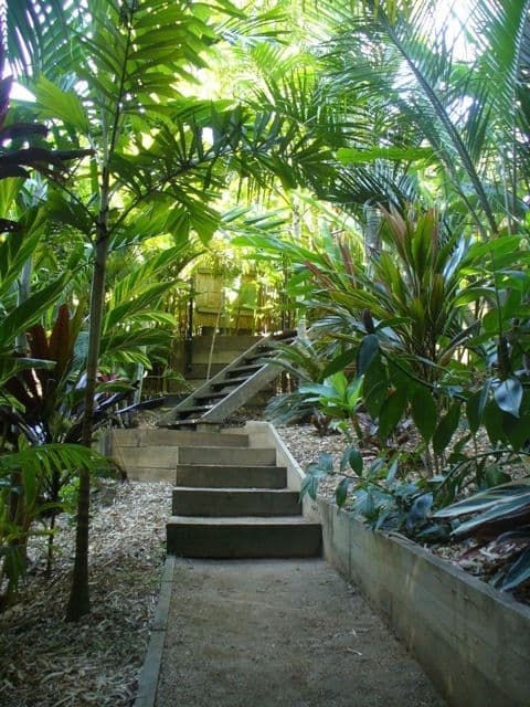 36 Olive Grove, BALMORAL QLD 4171, Balmoral - Thumbnail 6