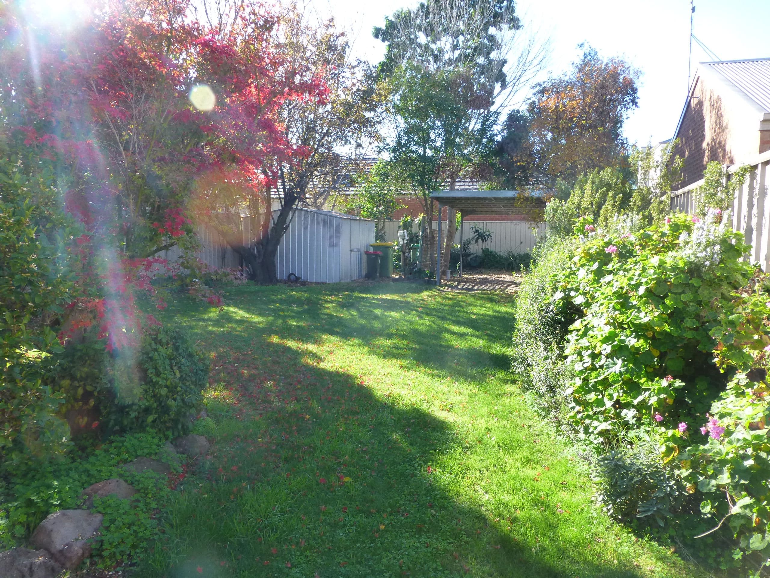 372 High Street, Echuca VIC 3564, Echuca - Thumbnail 2