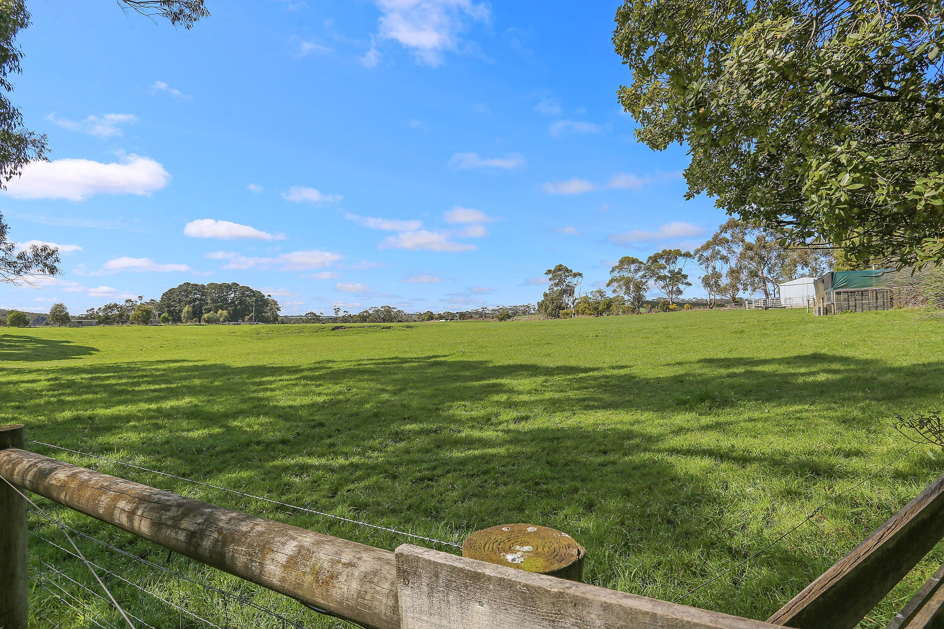 695 Cobden-Port Campbell Road, Scotts Creek VIC 3267, Scotts Creek - Thumbnail 2