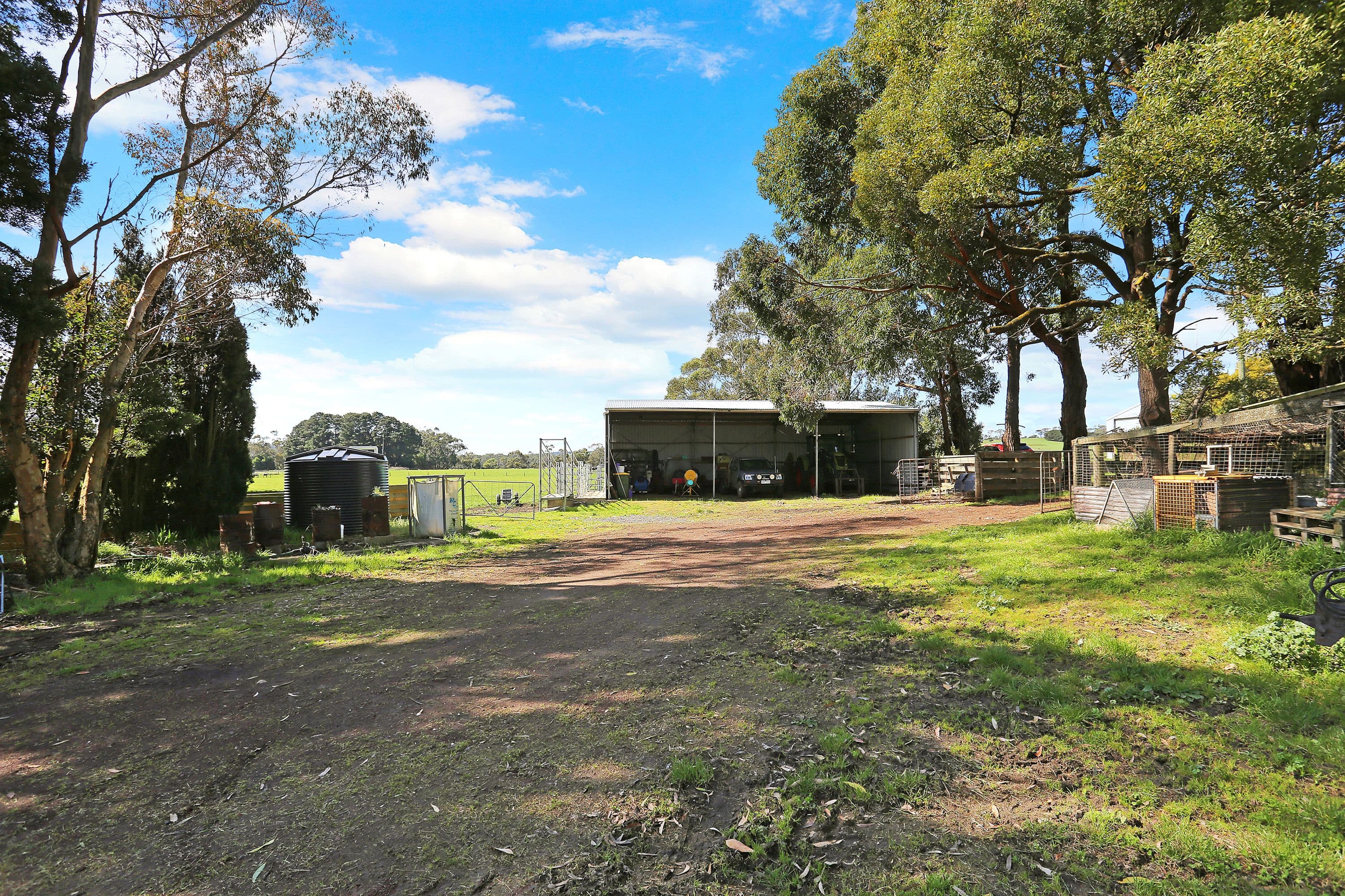 695 Cobden-Port Campbell Road, Scotts Creek VIC 3267, Scotts Creek - Thumbnail 6