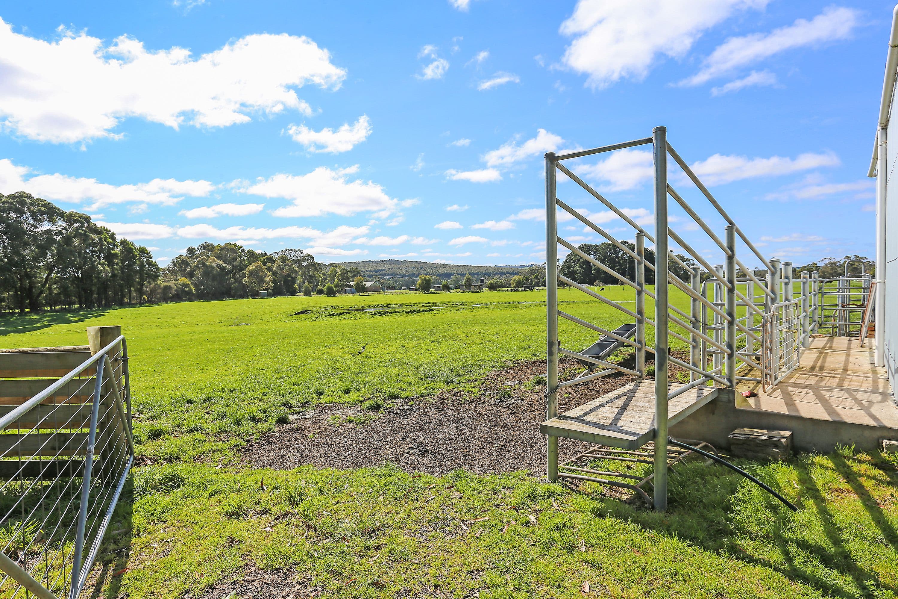 695 Cobden-Port Campbell Road, Scotts Creek VIC 3267, Scotts Creek - Thumbnail 7