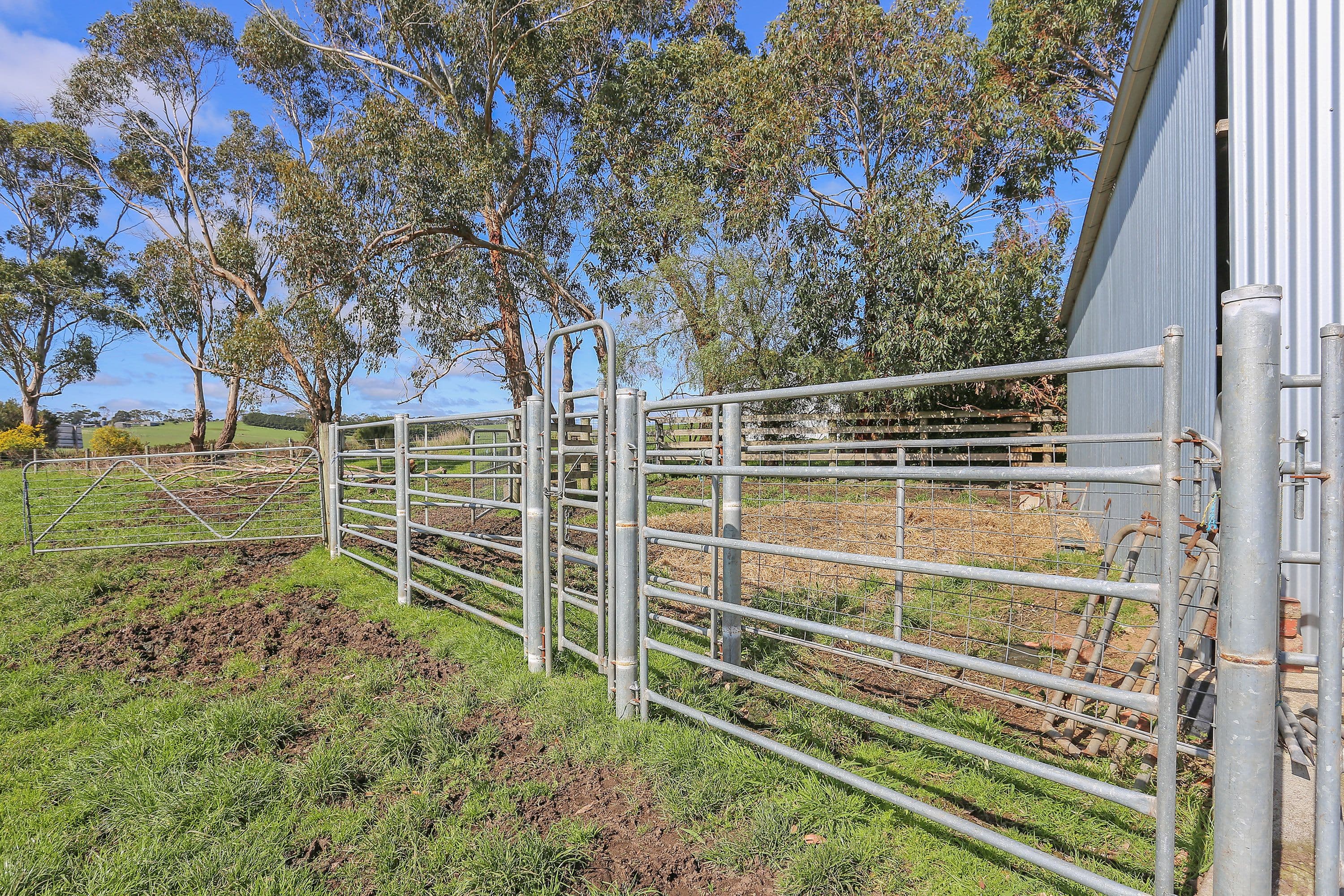 695 Cobden-Port Campbell Road, Scotts Creek VIC 3267, Scotts Creek - Thumbnail 8
