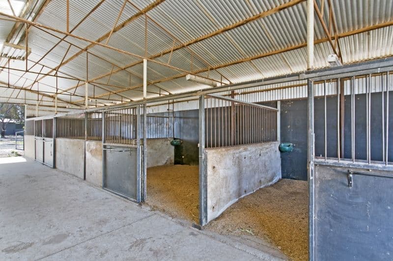 704 Harris Road, WASLEYS SA 5400, Wasleys - Thumbnail 3