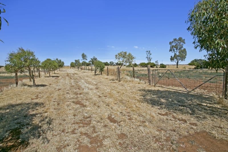 704 Harris Road, WASLEYS SA 5400, Wasleys - Thumbnail 7