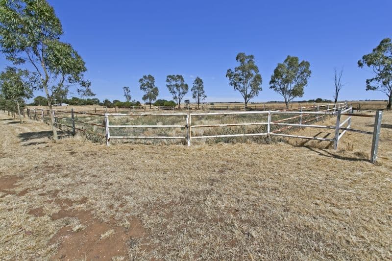 704 Harris Road, WASLEYS SA 5400, Wasleys - Thumbnail 8