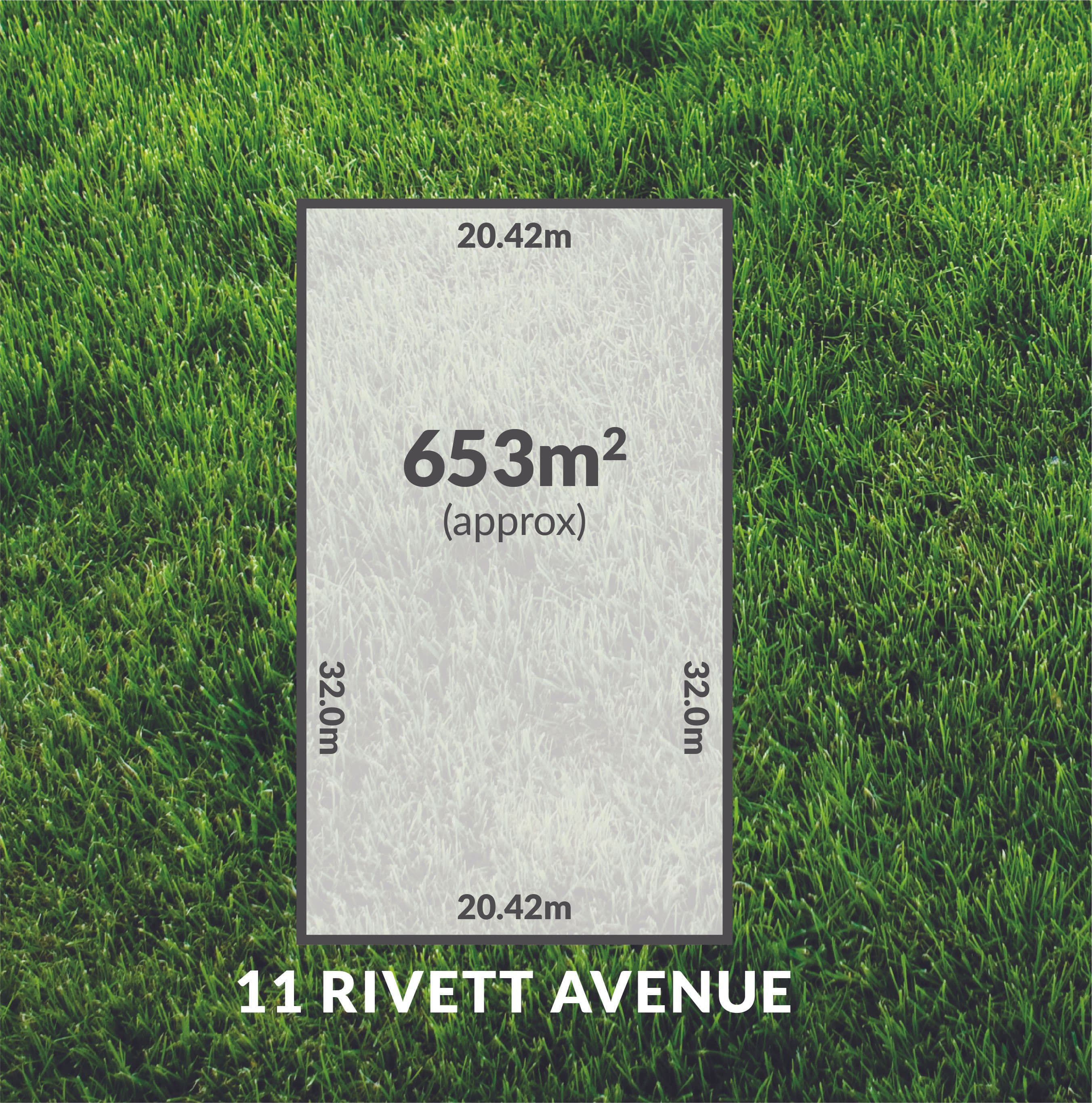 11 Rivett Avenue, Fulham Gardens SA 5024, Fulham Gardens - Thumbnail 2