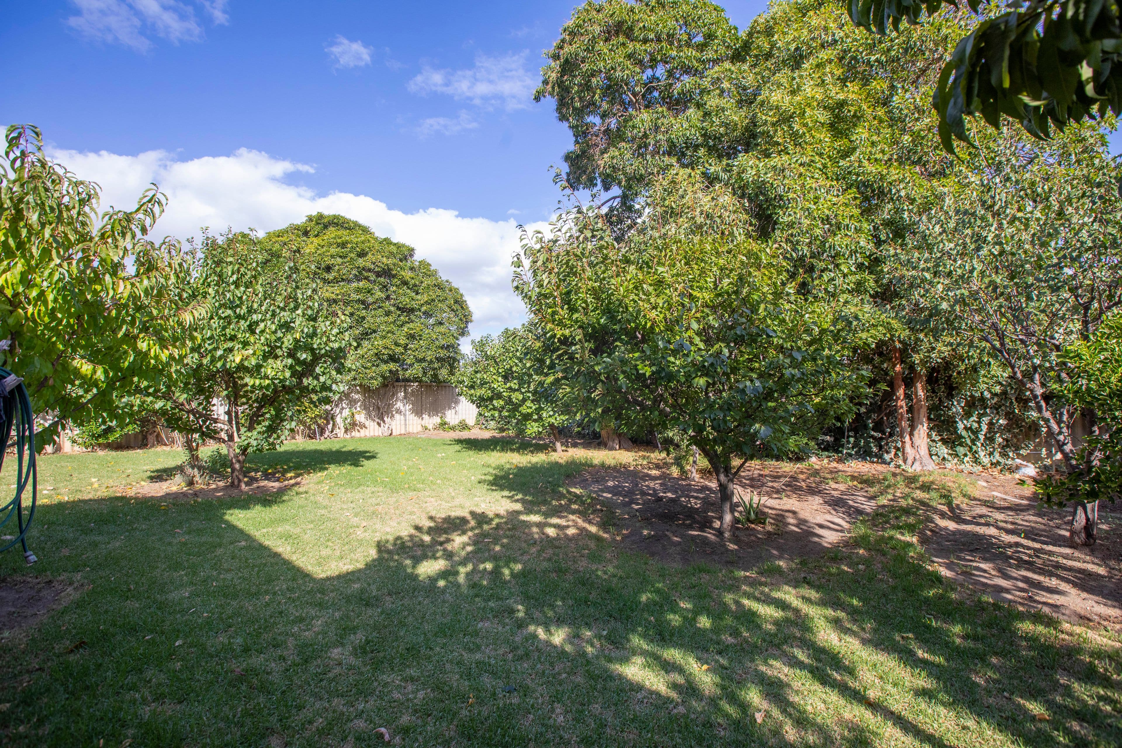 11 Rivett Avenue, Fulham Gardens SA 5024, Fulham Gardens - Thumbnail 4