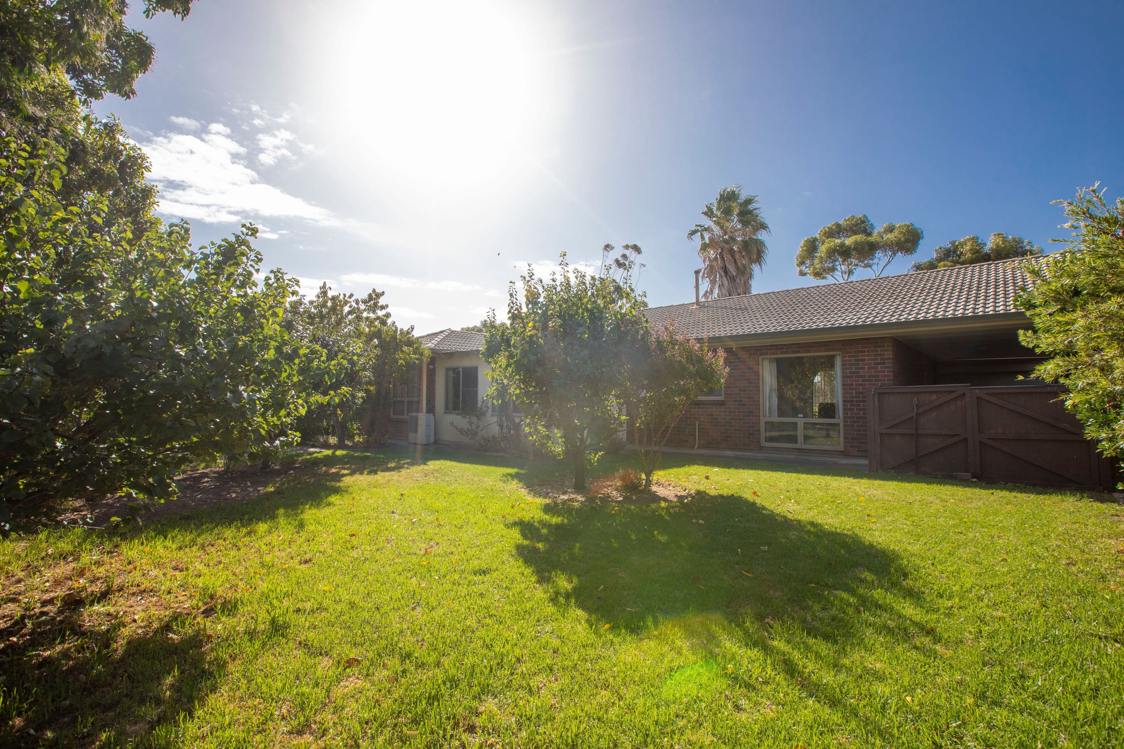 11 Rivett Avenue, Fulham Gardens SA 5024, Fulham Gardens - Thumbnail 5