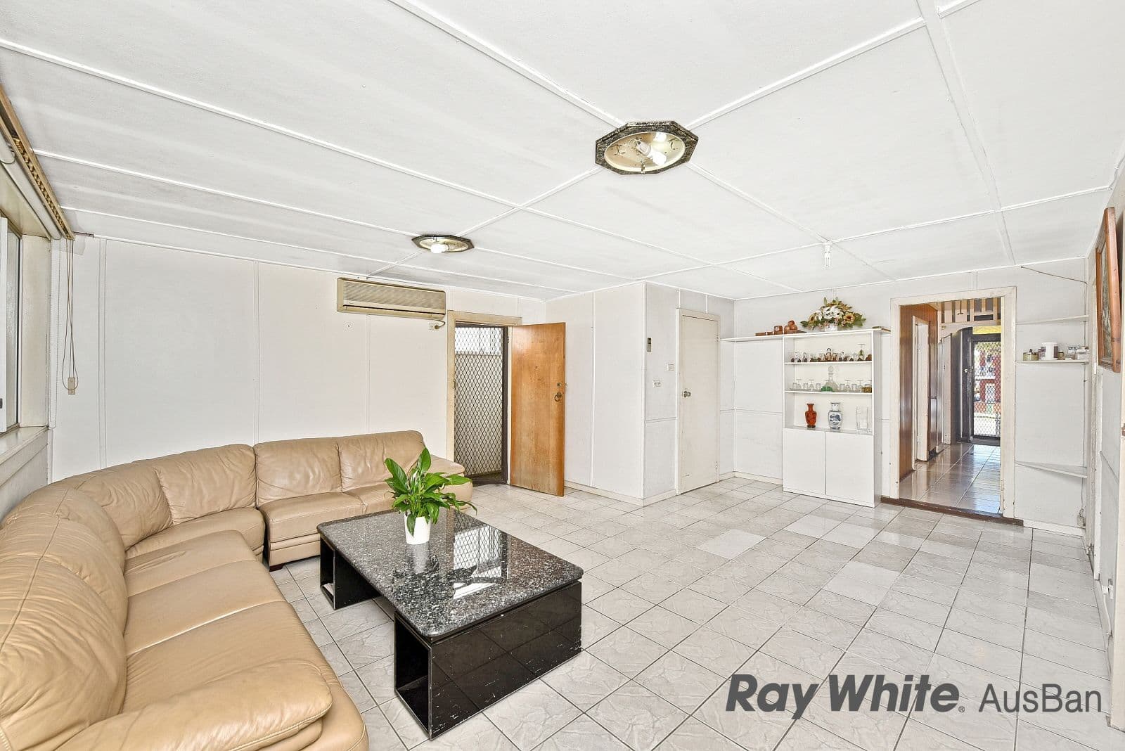 53 Mccourt Street, Wiley Park - Thumbnail 2