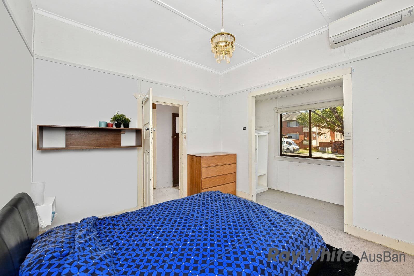 53 Mccourt Street, Wiley Park - Thumbnail 5