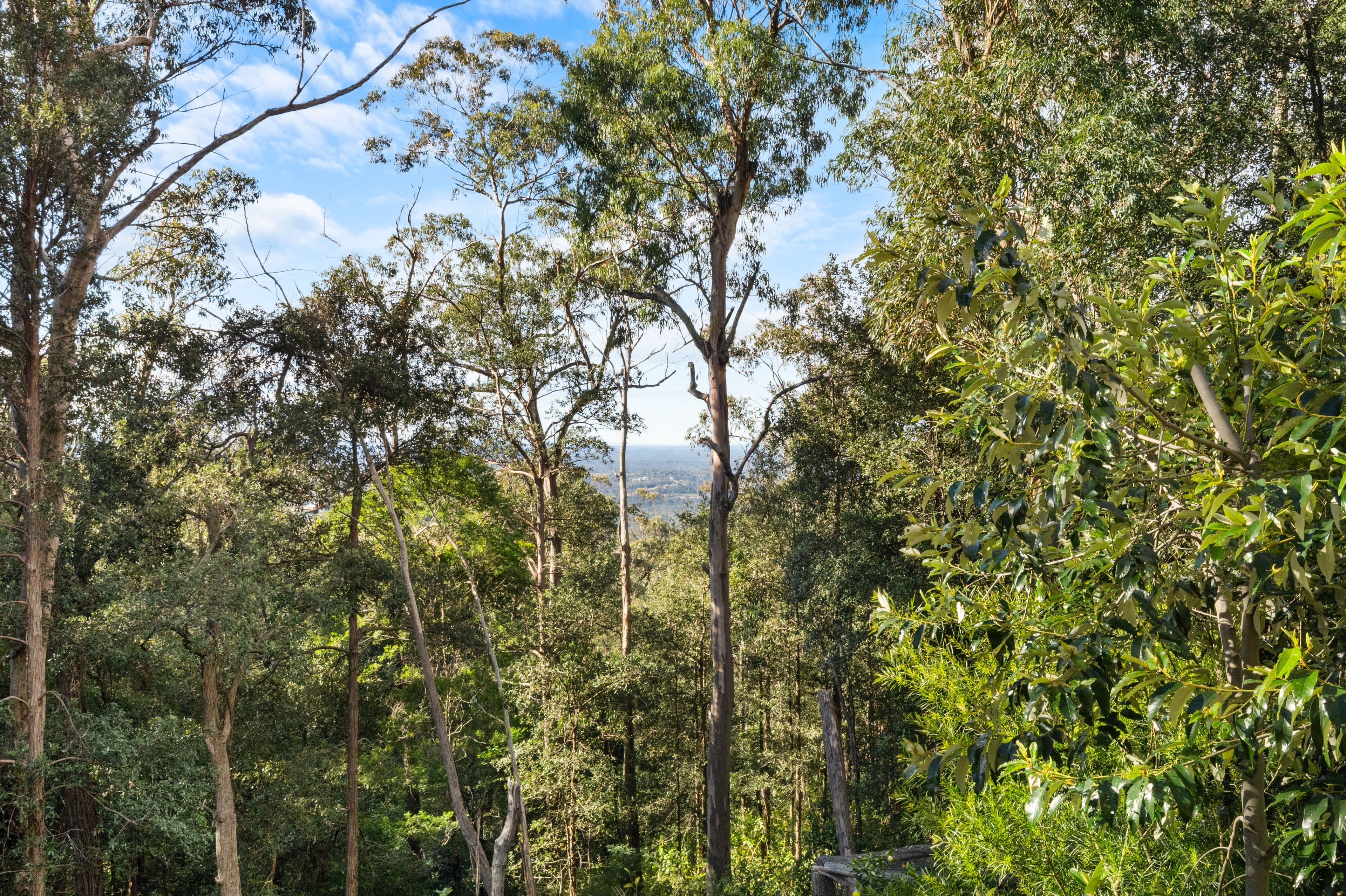 52 Gunbower Road, Bowen Mountain NSW 2753, Bowen Mountain - Thumbnail 4