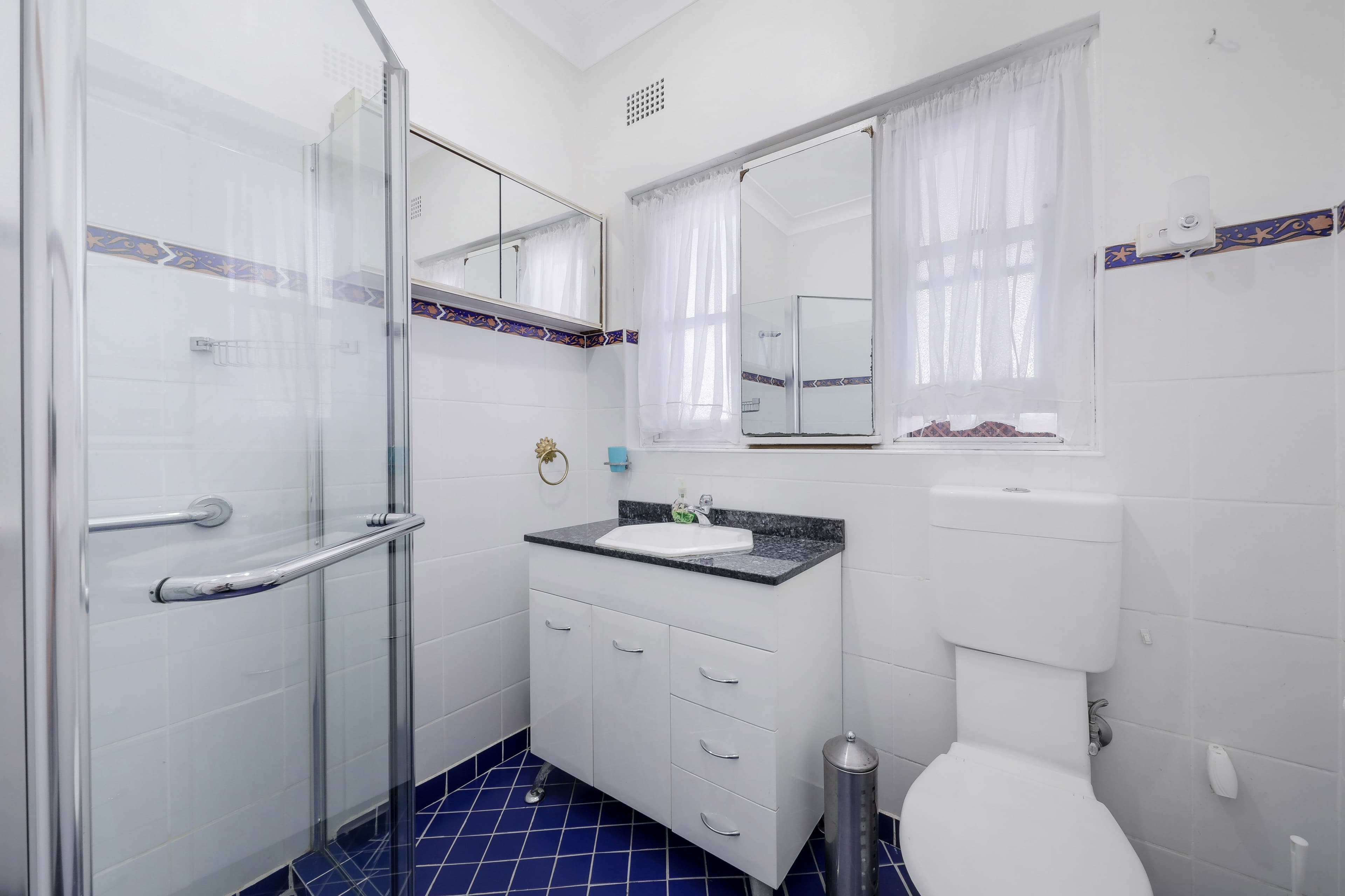 38 Cecilia Street, Belmore NSW 2192, Belmore - Thumbnail 7