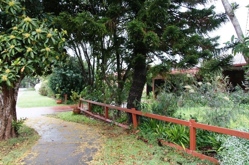 7 Eckersley Avenue, BUDERIM QLD 4556, Buderim - Image 1