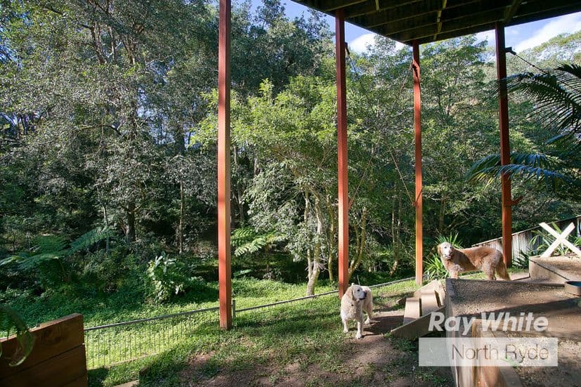 52 Malvina Street, Ryde NSW 2112, Ryde - Thumbnail 6