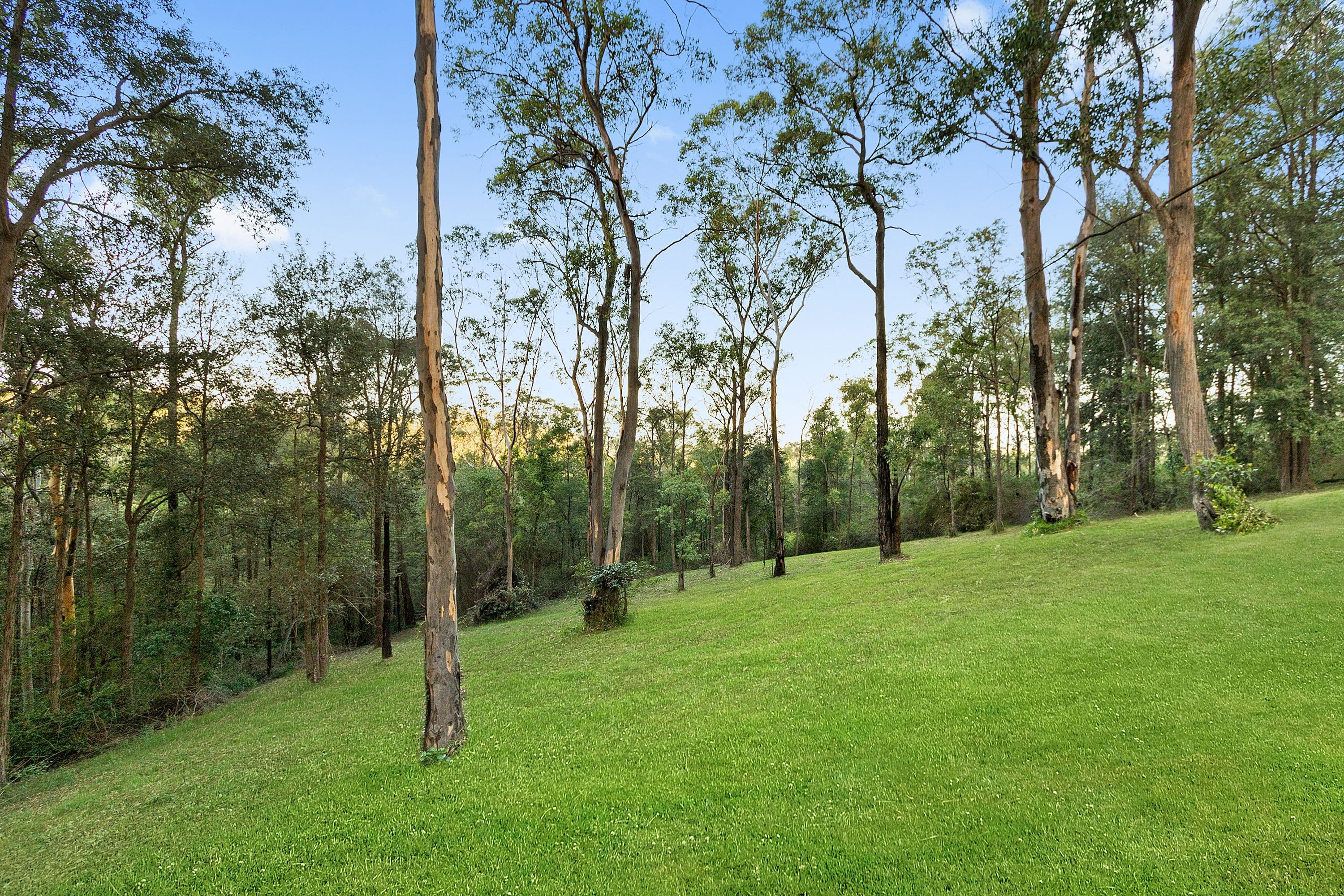 101 Serpentine Lane, Bowen Mountain - Thumbnail 3