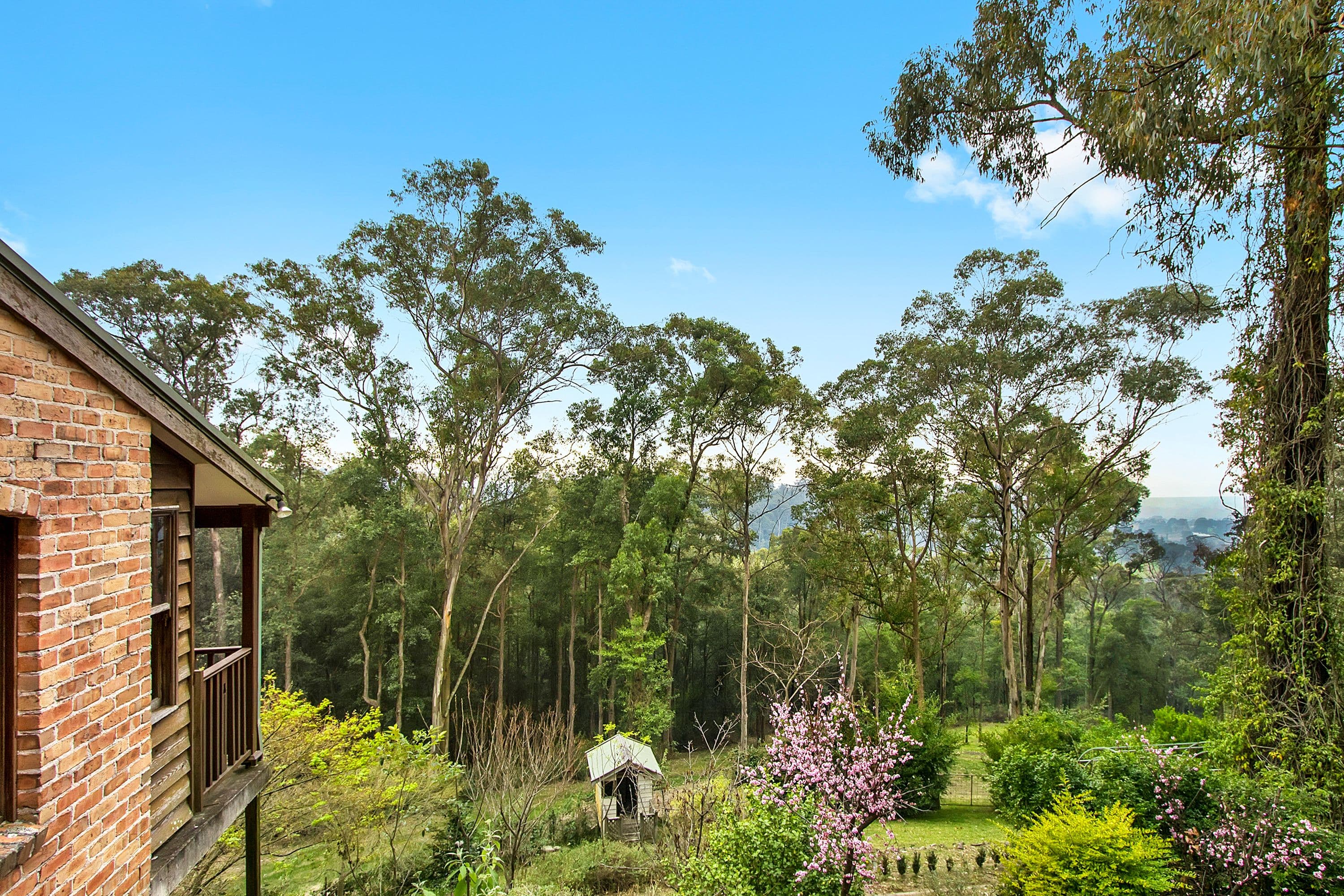 101 Serpentine Lane, Bowen Mountain - Thumbnail 4