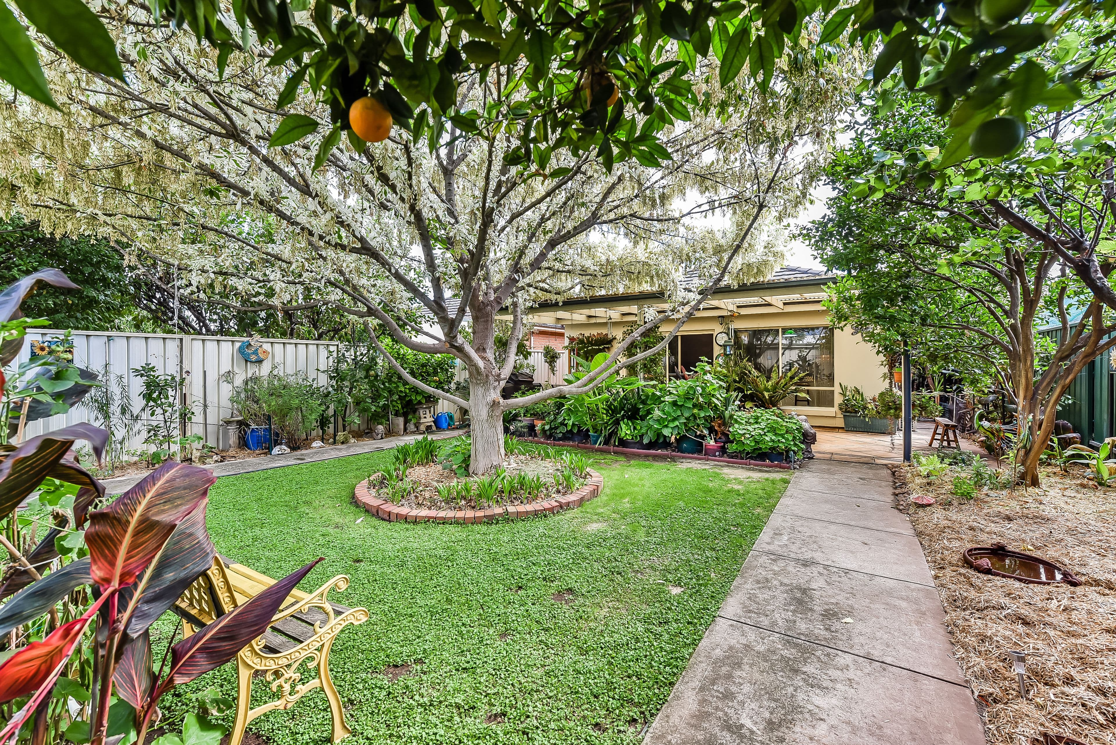 34A Oliphant Avenue, Marion SA 5043, Marion - Thumbnail 2