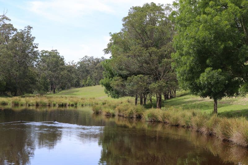 EUROBODALLA NSW 2545, Eurobodalla - Thumbnail 6