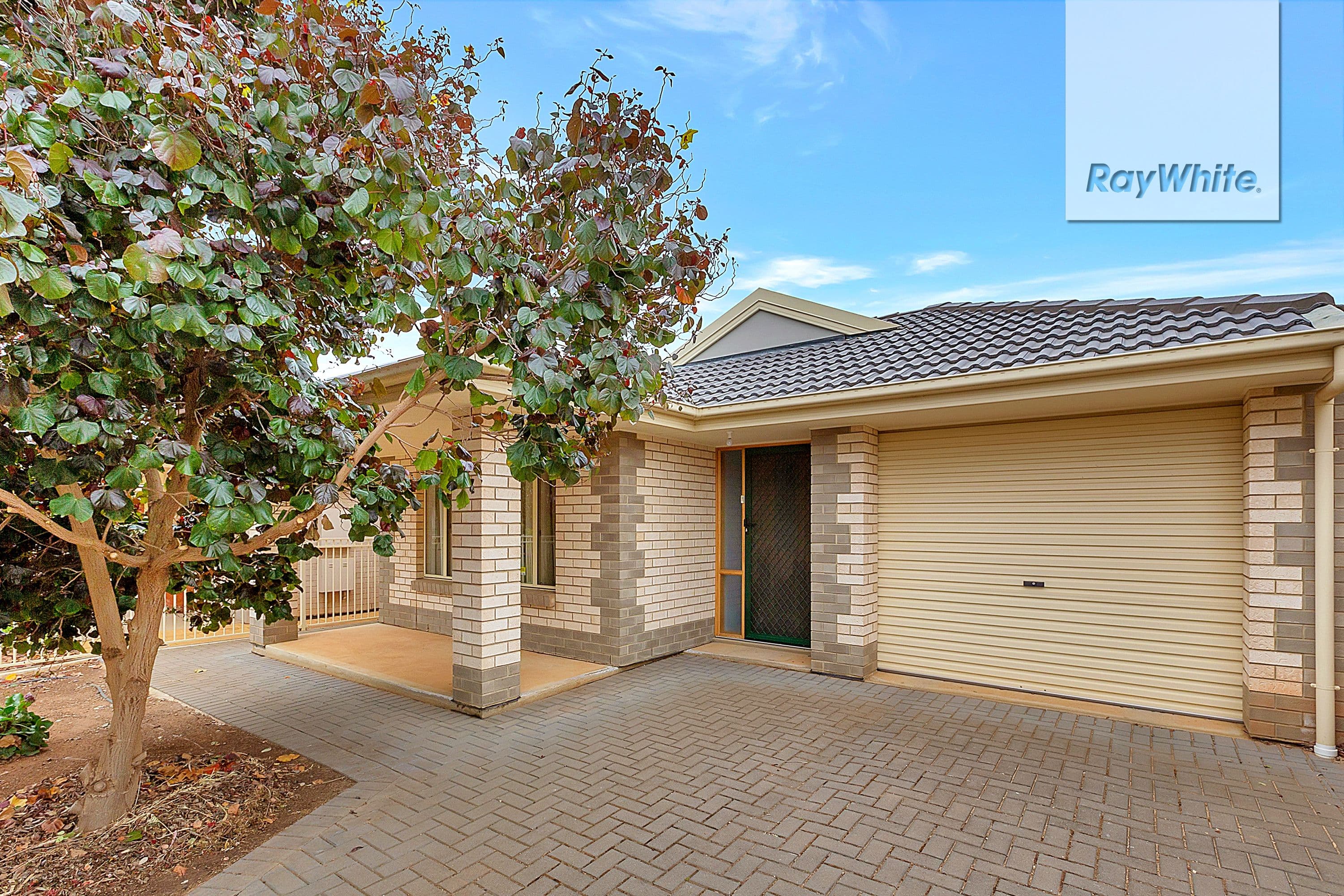 16 Wilton Street, Davoren Park SA 5113, Davoren Park - Image 1