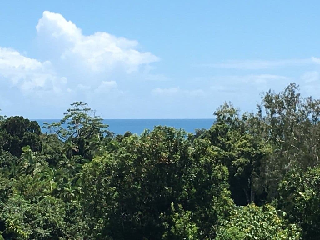 37 Dunkalli Crescent, Wongaling Beach QLD 4852, Wongaling Beach - Thumbnail 3