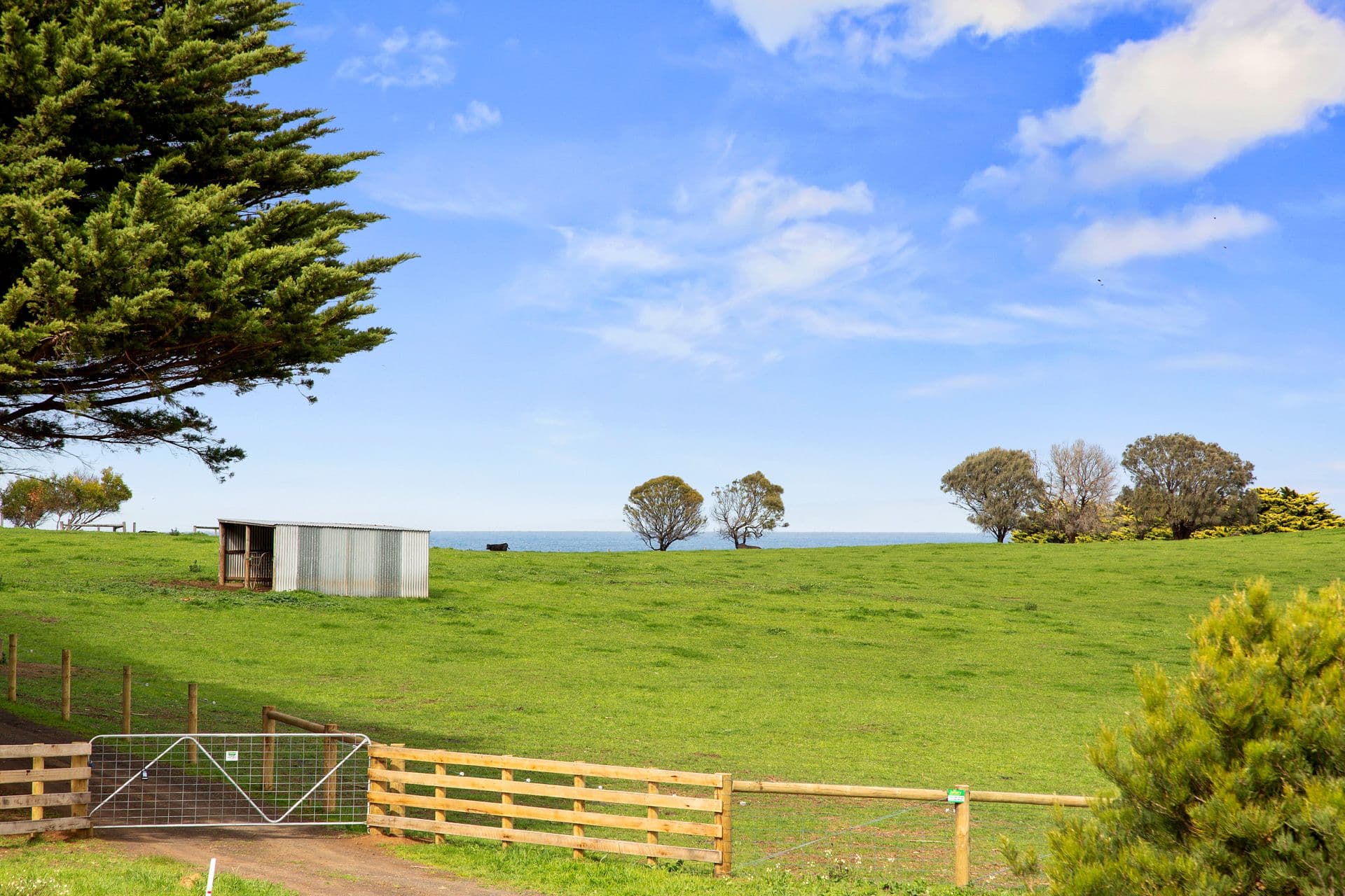 96 Back Beach Road, Sunset Strip VIC 3922, Sunset Strip - Thumbnail 4