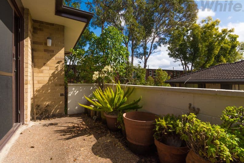 147 Smith Street, SUMMER HILL NSW 2130, Summer Hill - Thumbnail 8
