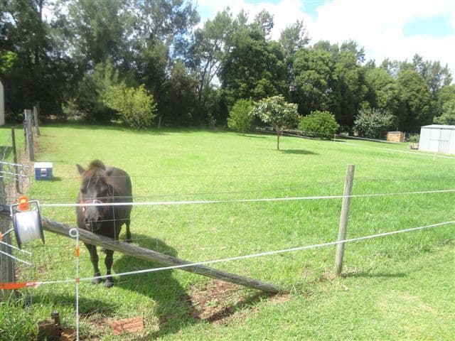 5 Kratzke Road, HIGHFIELDS QLD 4352, Highfields - Thumbnail 8