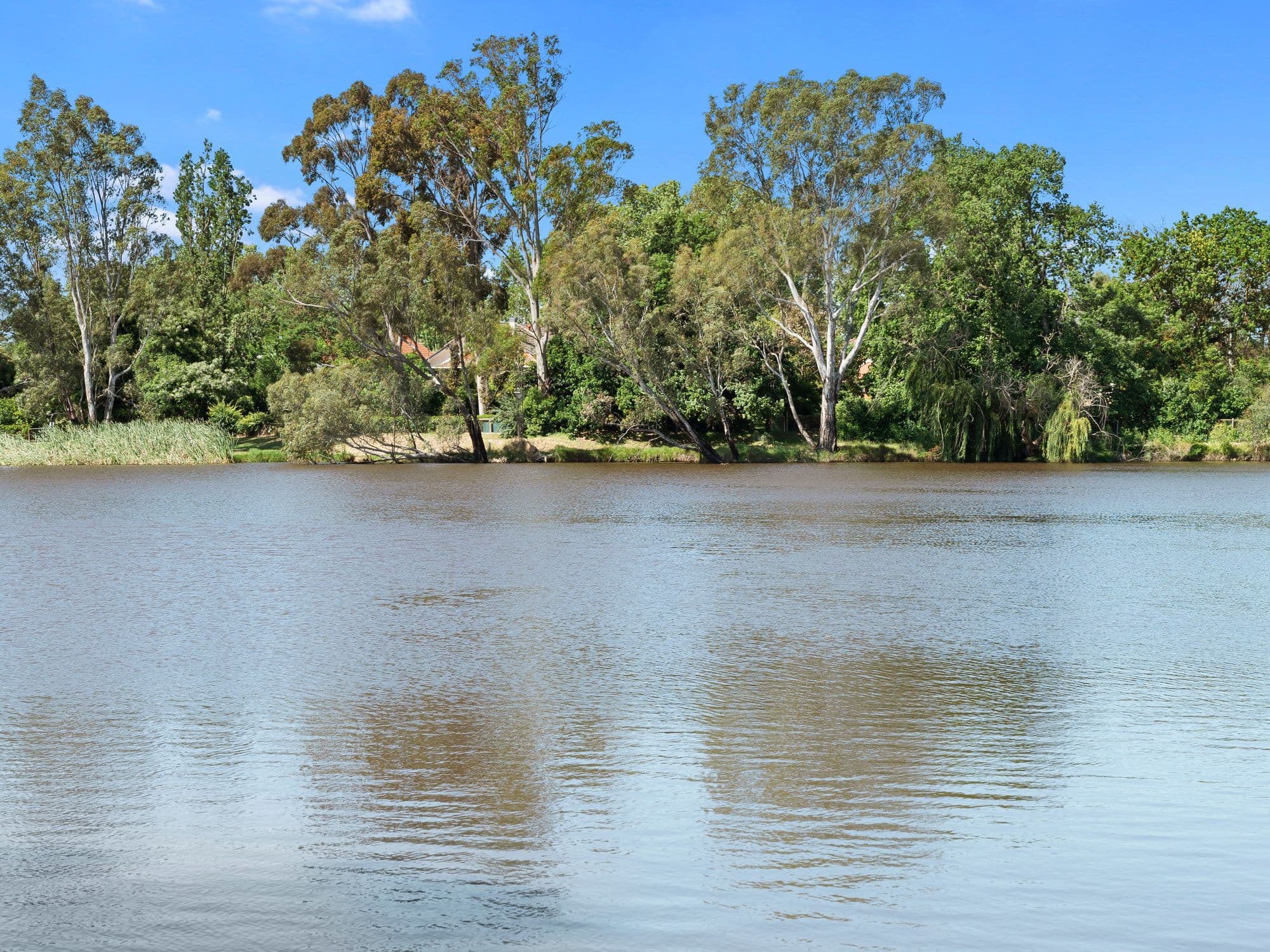 14 Mitchell Street, Benalla VIC 3672, Benalla - Thumbnail 4