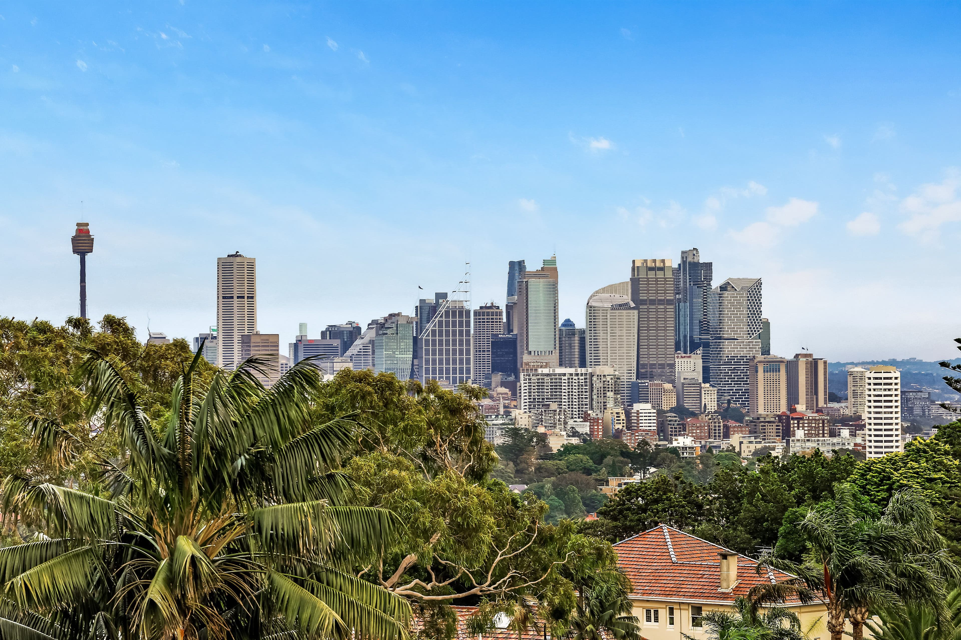 12 March Street, Bellevue Hill NSW 2023, Bellevue Hill - Thumbnail 6