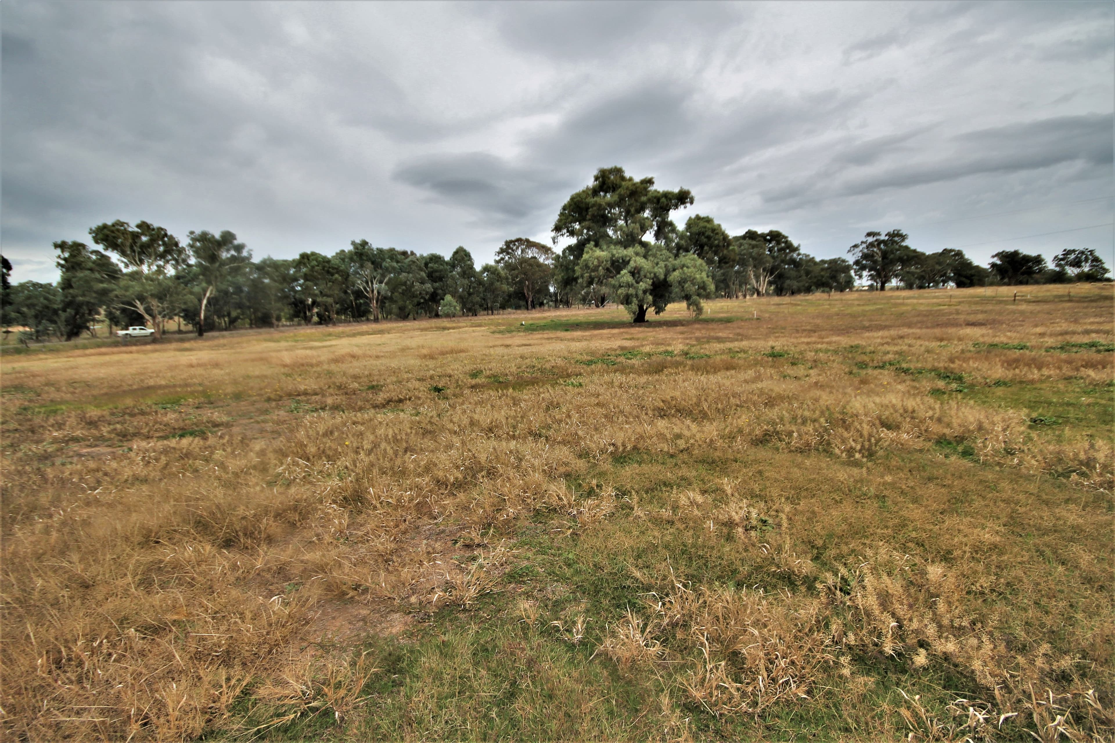 8 Dowling Drive, Murringo NSW 2586, Murringo - Thumbnail 4