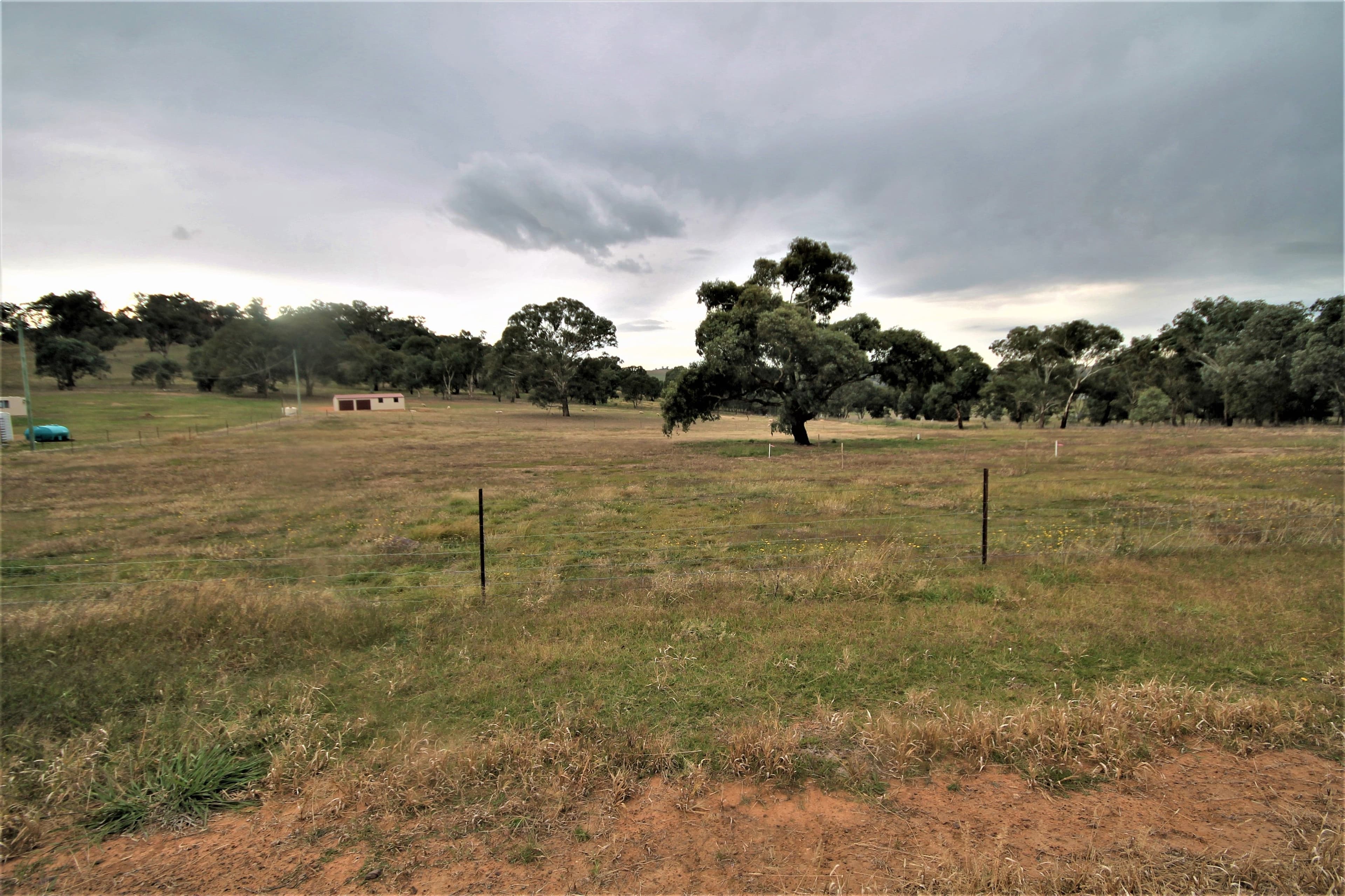 8 Dowling Drive, Murringo NSW 2586, Murringo - Thumbnail 5