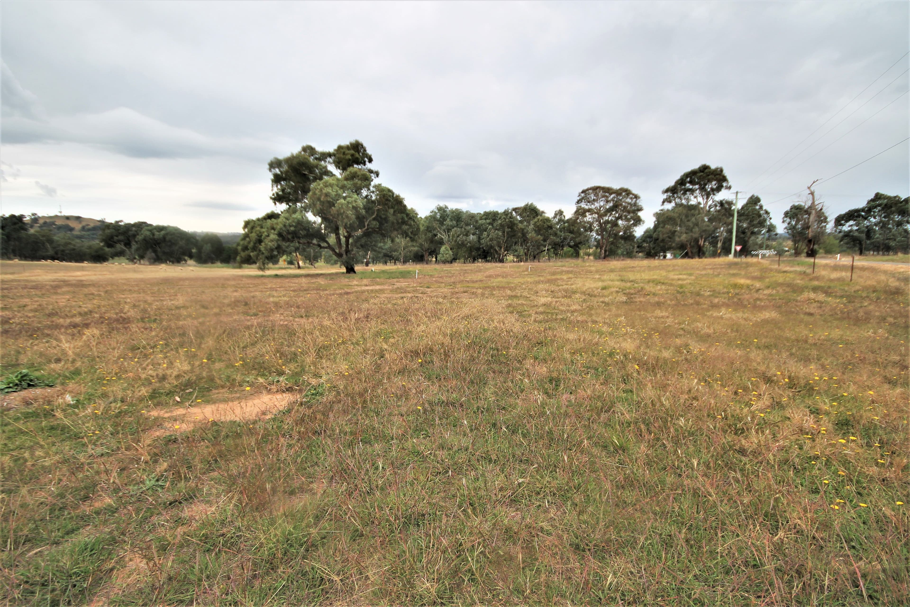 8 Dowling Drive, Murringo NSW 2586, Murringo - Thumbnail 6