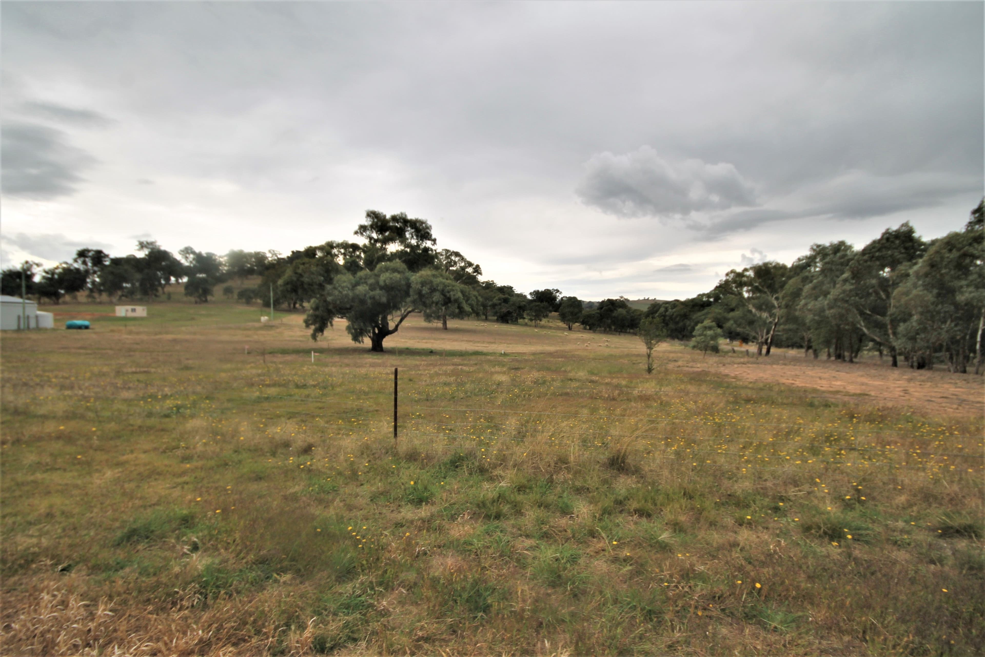 8 Dowling Drive, Murringo NSW 2586, Murringo - Thumbnail 7