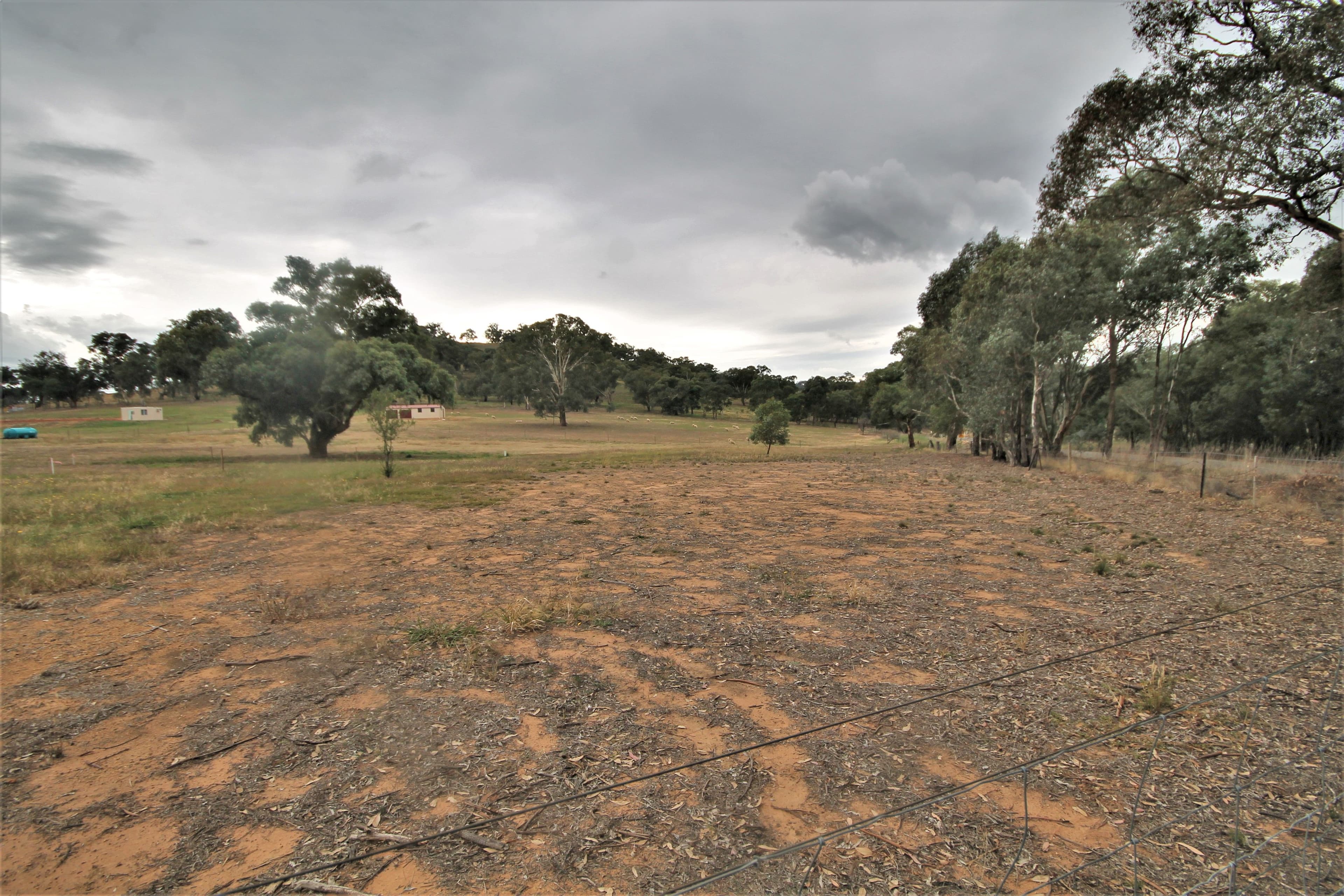8 Dowling Drive, Murringo NSW 2586, Murringo - Thumbnail 8