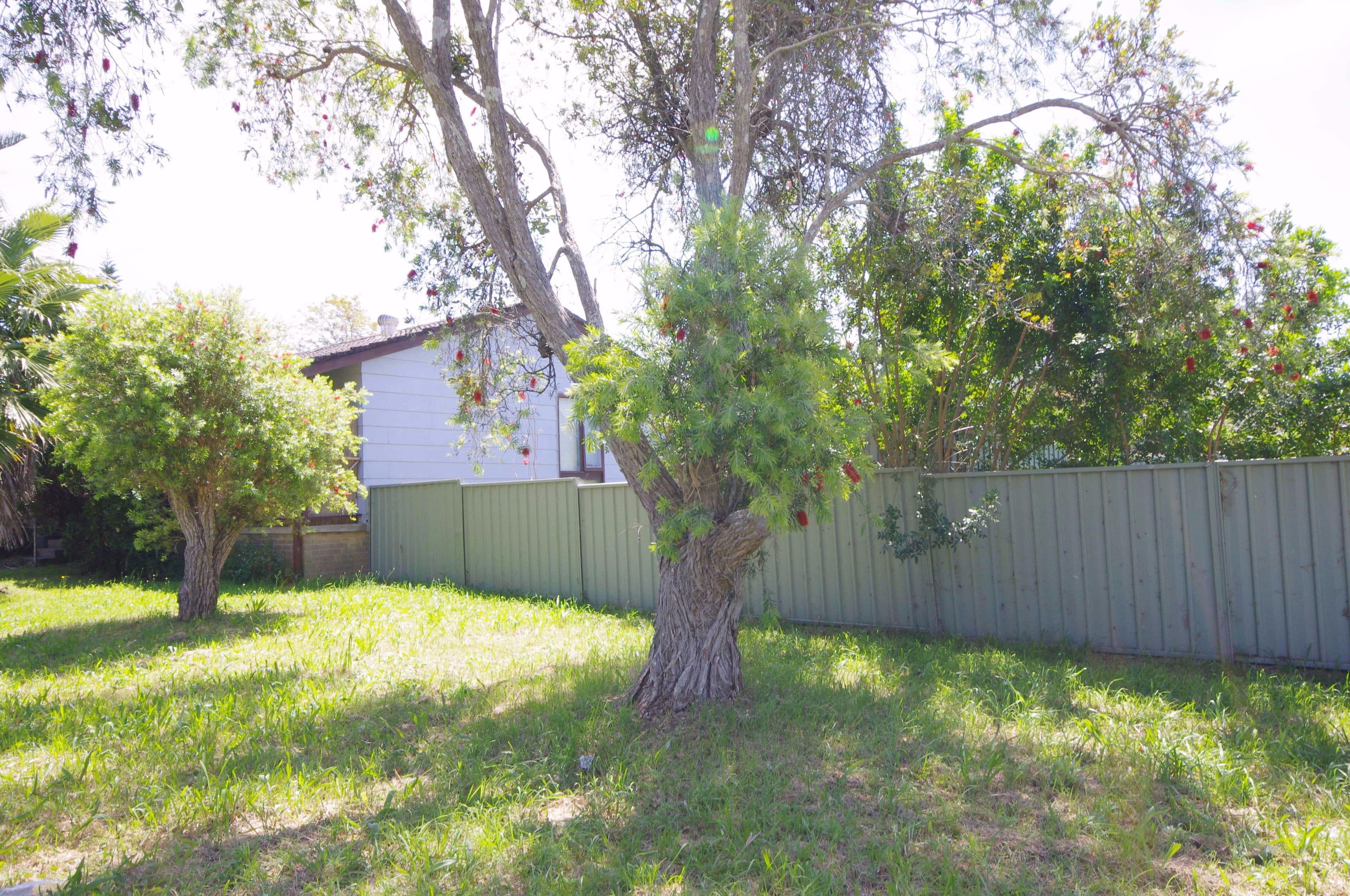 37 Valerie Street, Taree - Thumbnail 3