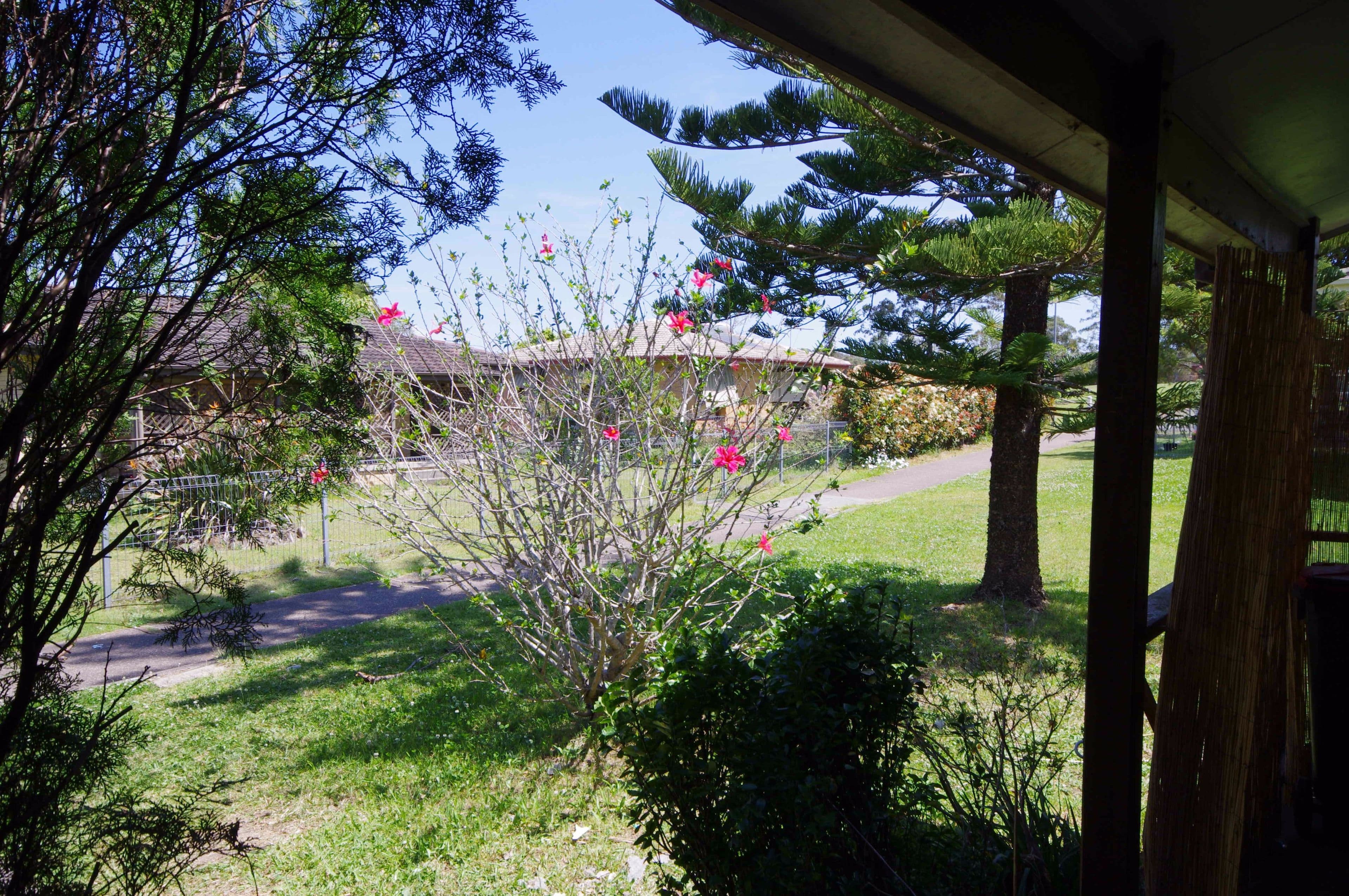37 Valerie Street, Taree - Thumbnail 4