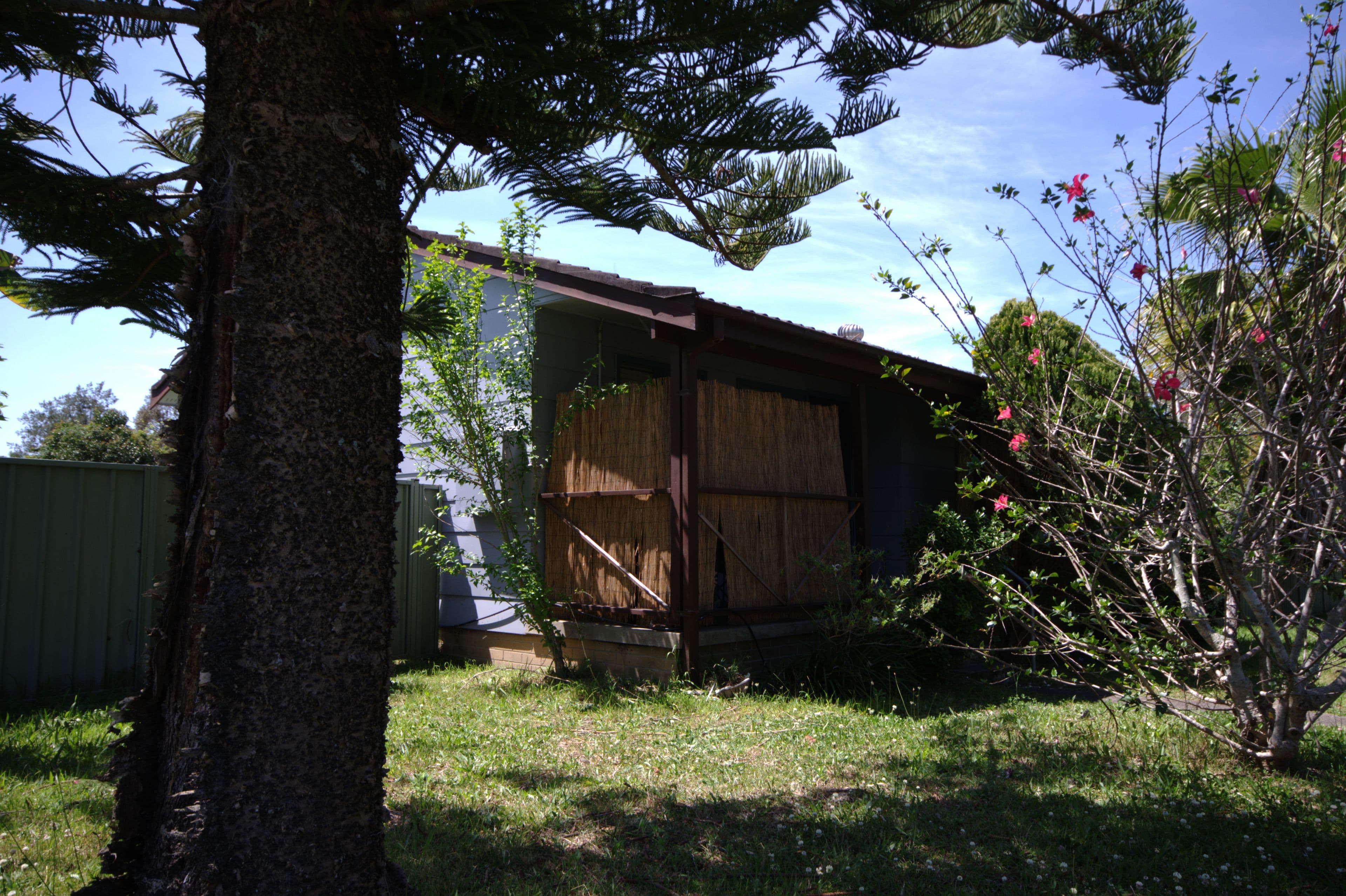 37 Valerie Street, Taree - Thumbnail 8