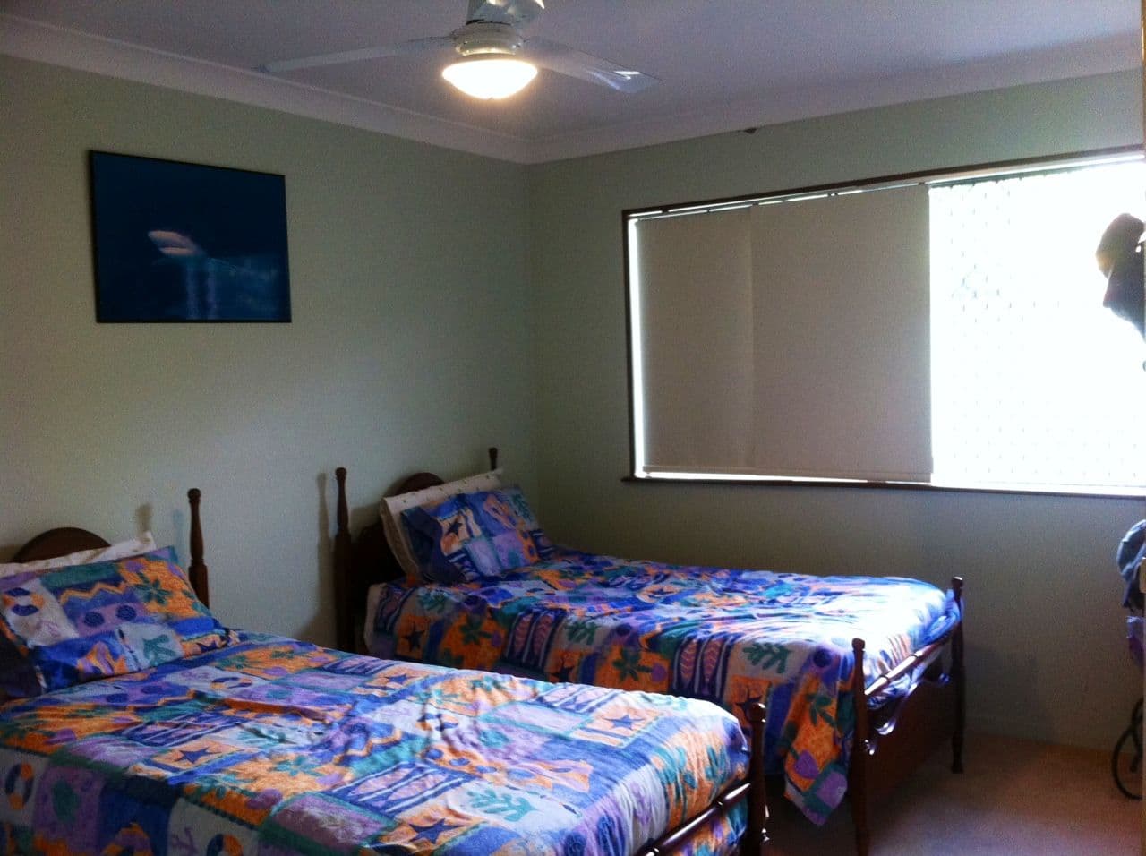 43 Abelia Street, ALEXANDRA HILLS QLD 4161, Alexandra Hills - Thumbnail 8