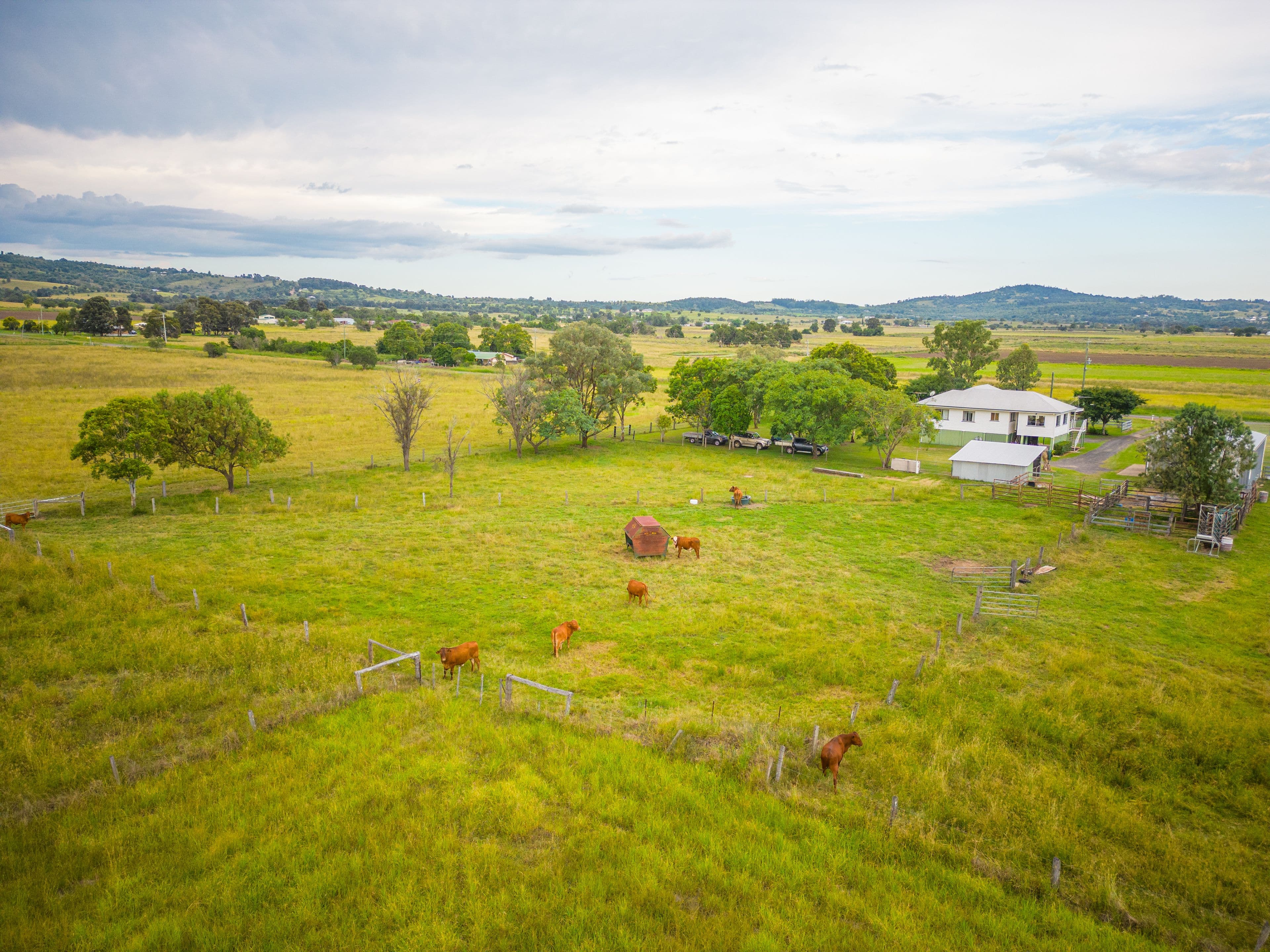 98 Stevens Road, Lanefield QLD 4340, Lanefield - Thumbnail 5
