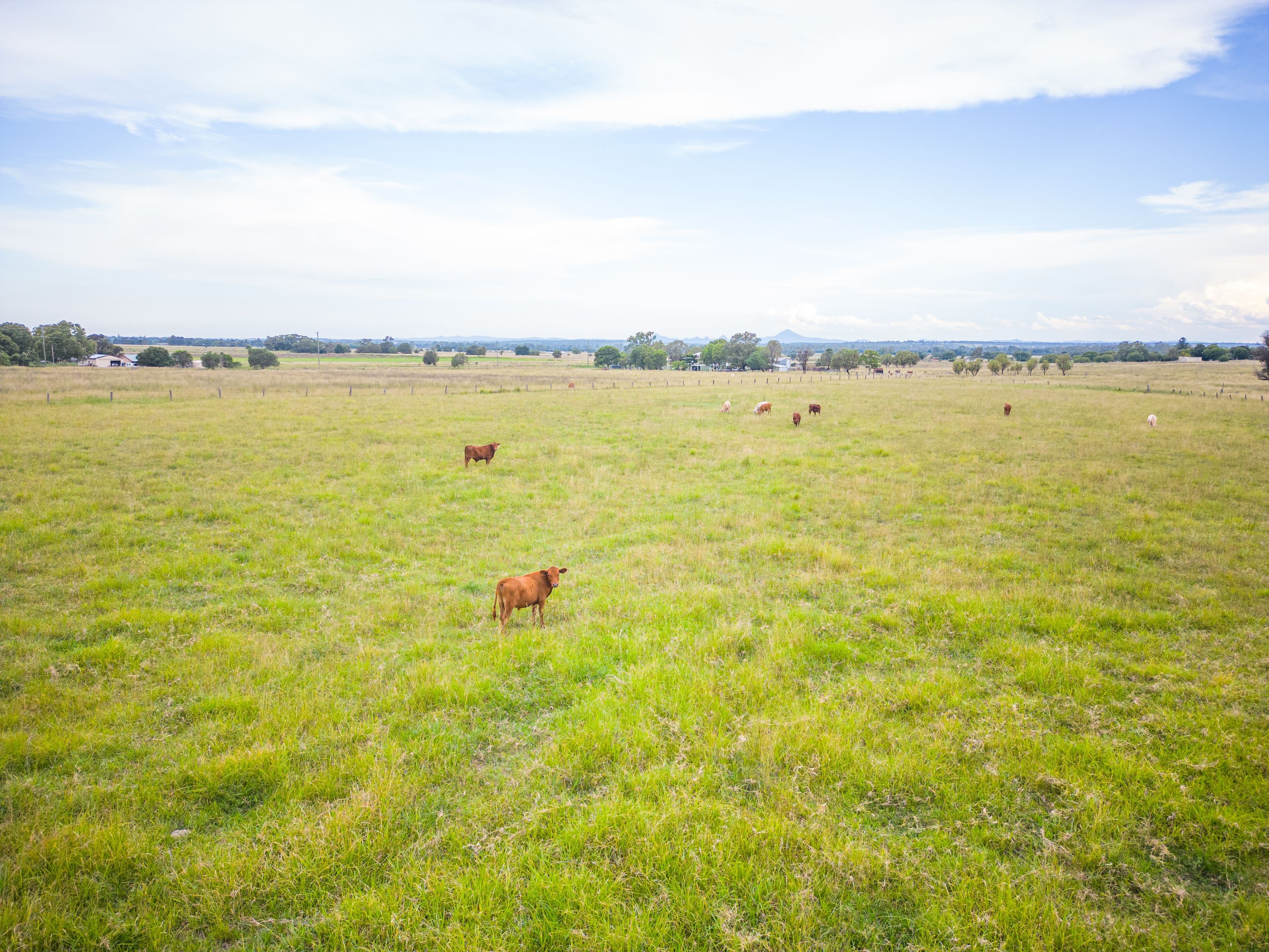 98 Stevens Road, Lanefield QLD 4340, Lanefield - Thumbnail 6