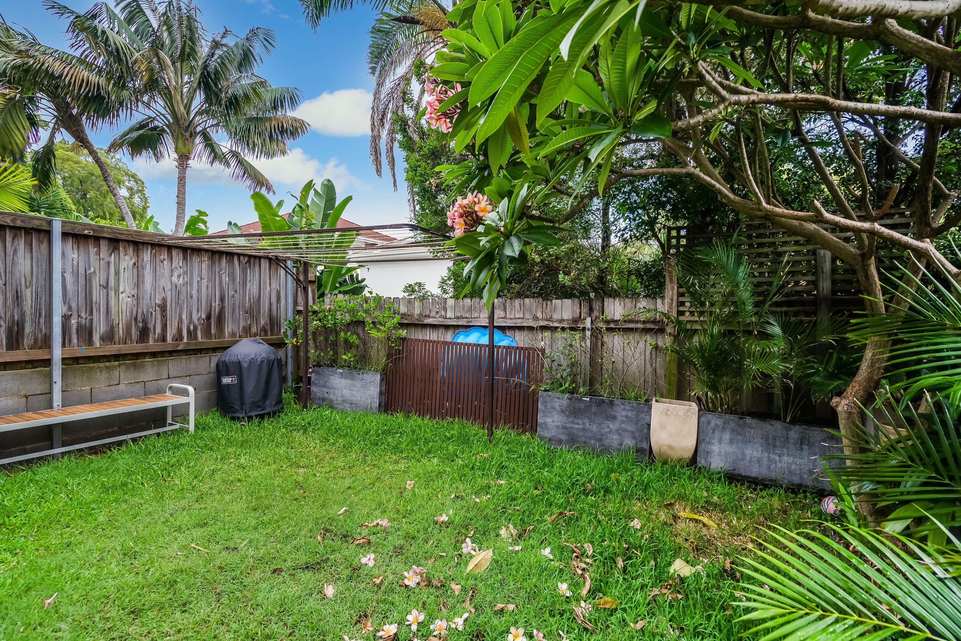20 O'Donnell Street, North Bondi NSW 2026, North Bondi - Thumbnail 4