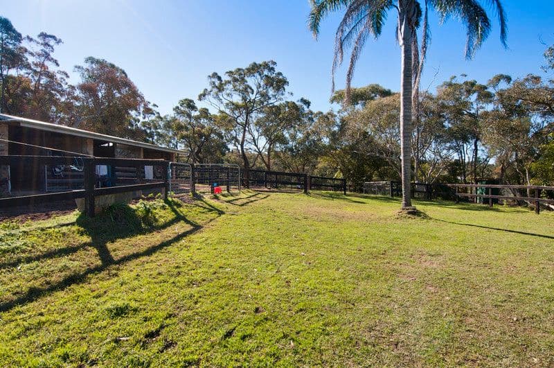 1 Mallawa Road, DUFFYS FOREST NSW 2084, Duffys Forest - Thumbnail 3